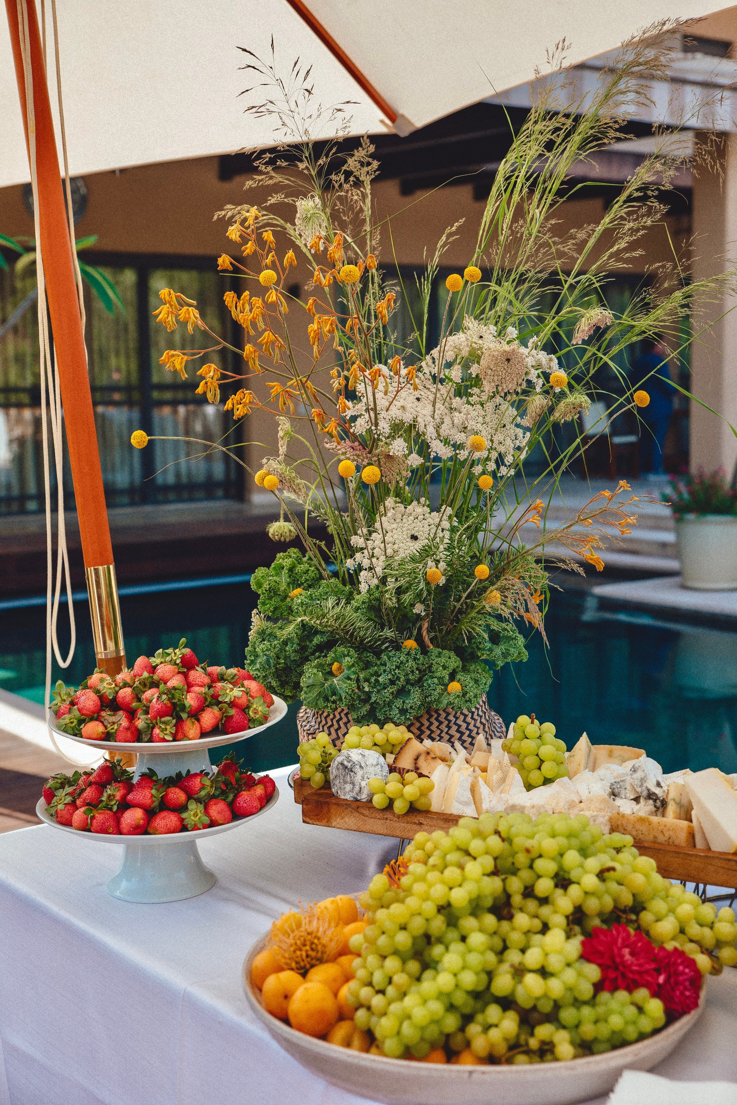 EVENTS. Portrait and event’s photographer in Israel Maria Troyanker