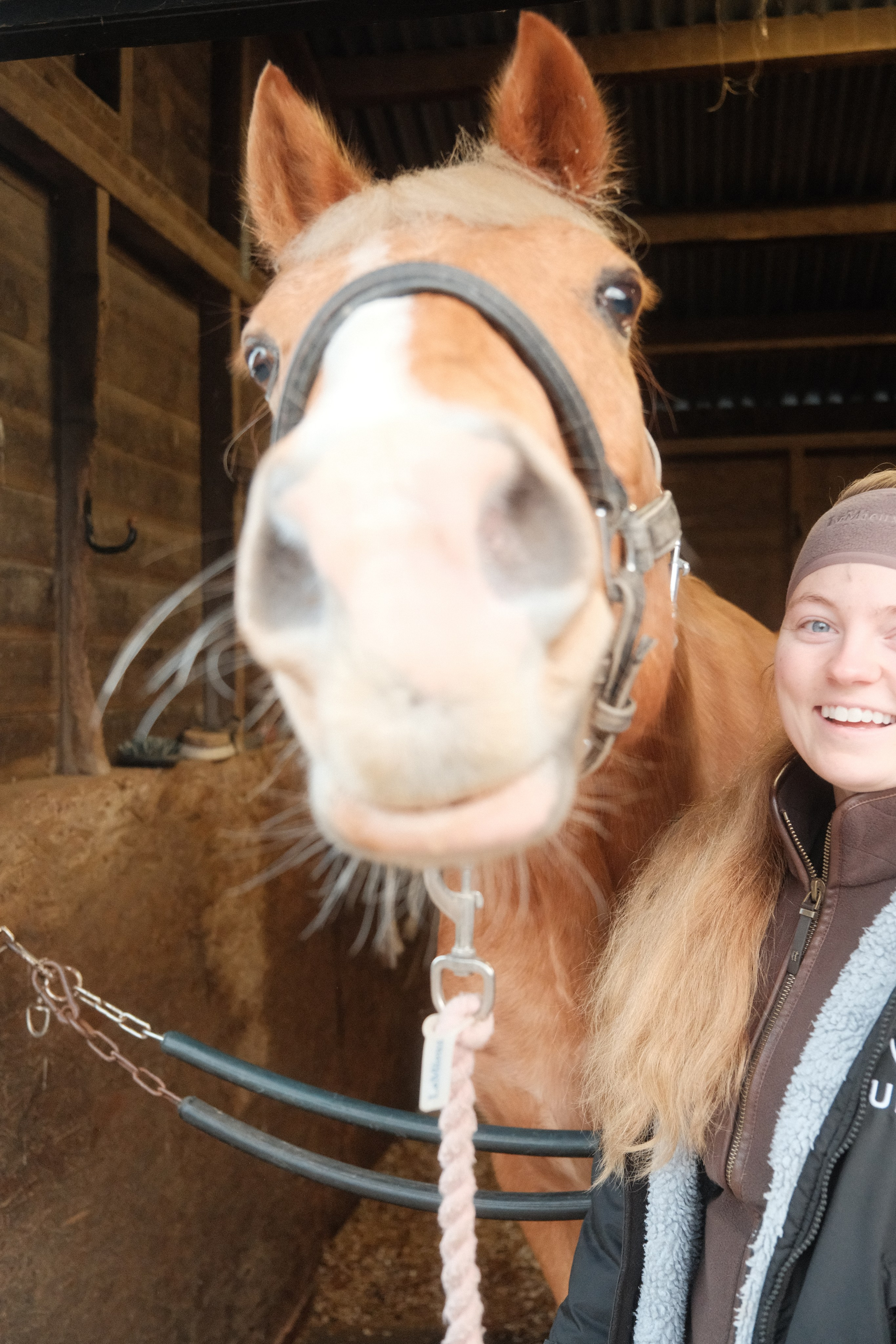 Portrait photography with Fudge the horse. Cal Takes Photos