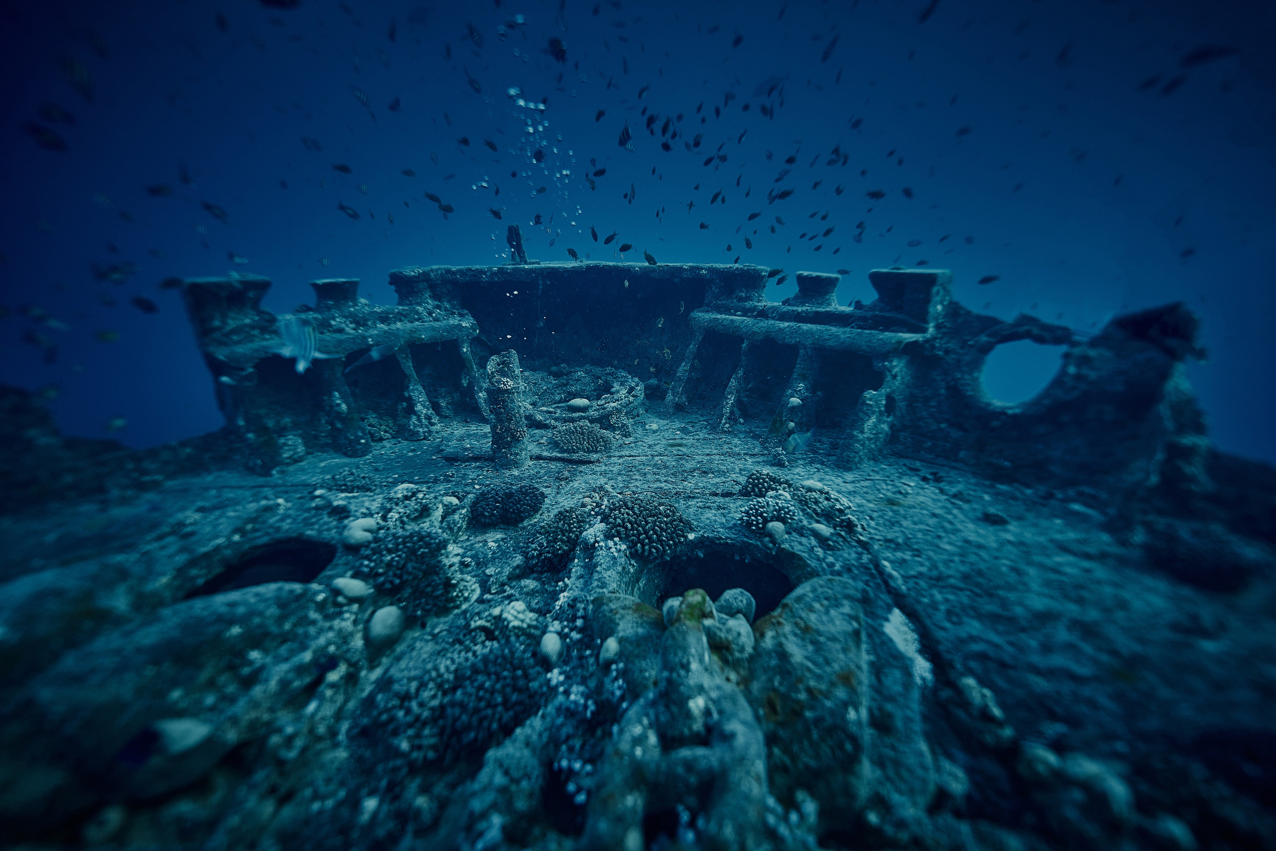 Podwodny fotograf - Andriej Szypiłow - zdjęcia wraków. Andriej Szypilow - Fotografia & Wideografia