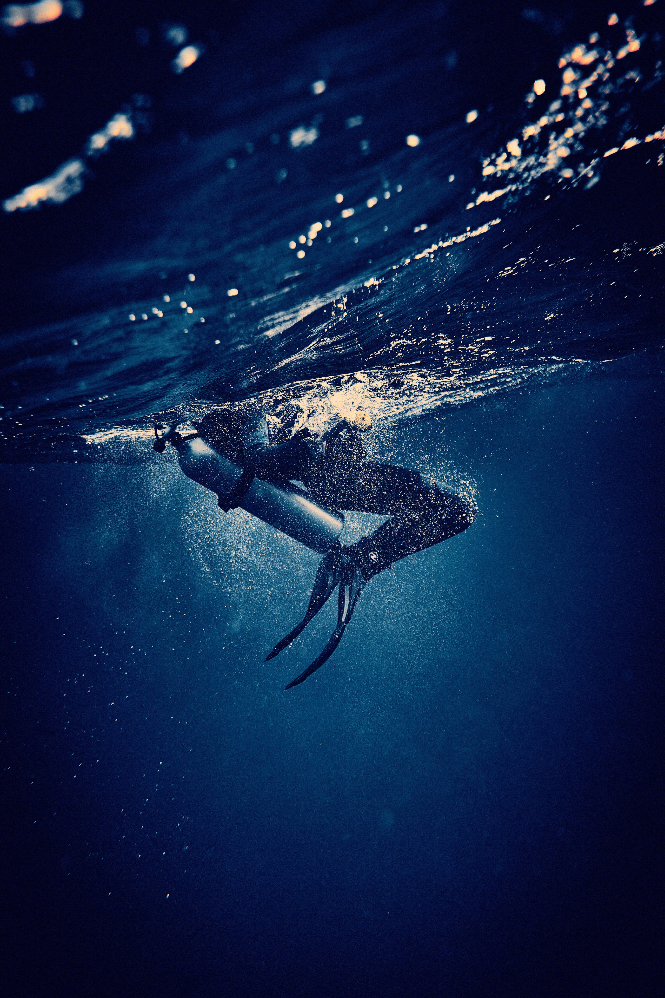 2023-11 - Diving Safari Deep South Egypt. Andriej Szypilow — Photography & Videography