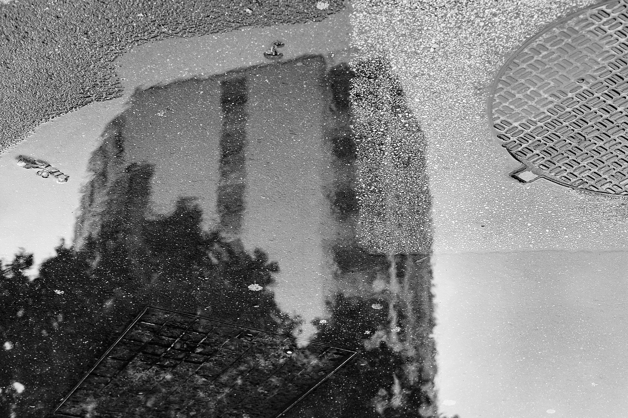 Monochrome. A Creative Insight | Catalin Nastase