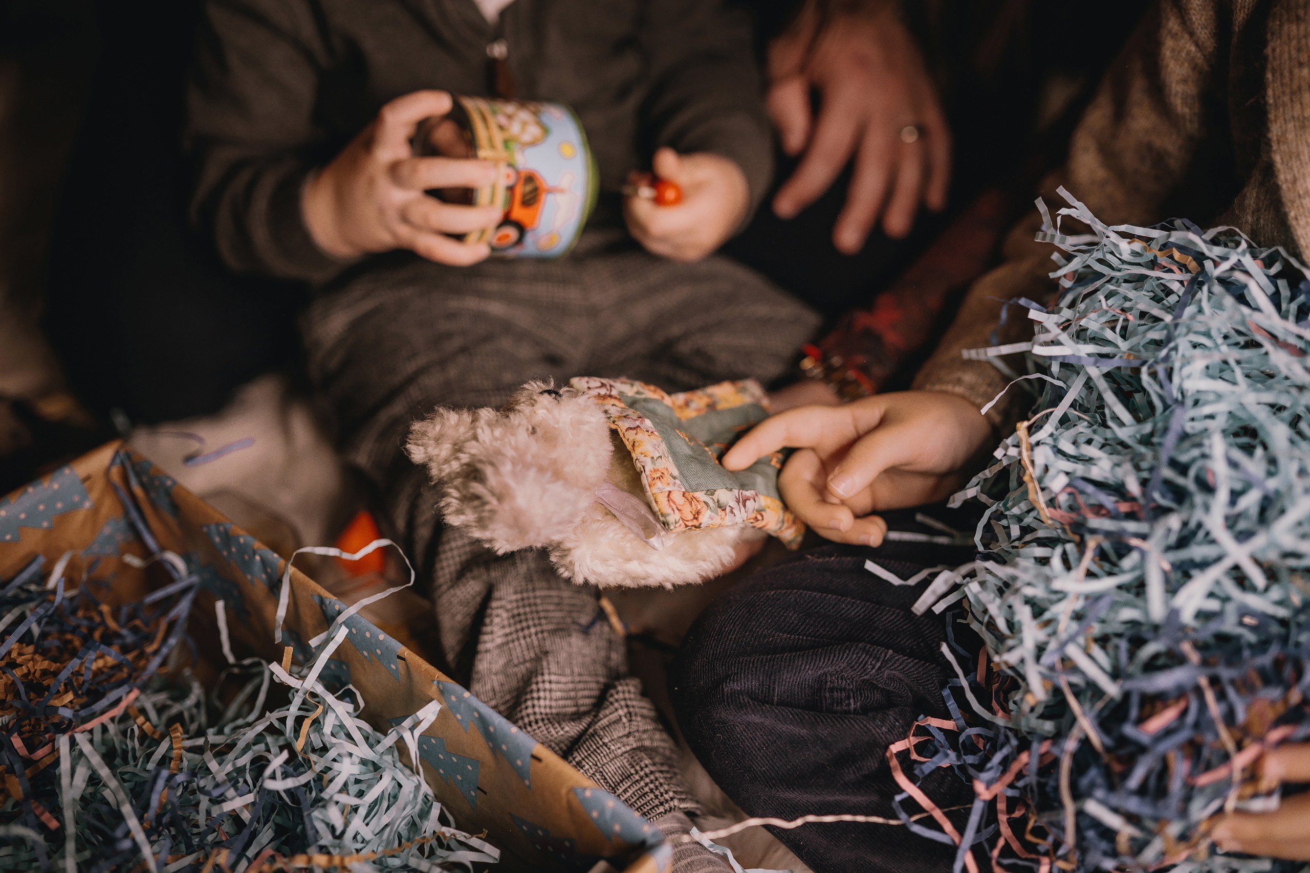 11.16.2025 Christmas Photoshoot. Wedding family event photographer in Chicago Nick Yushevich