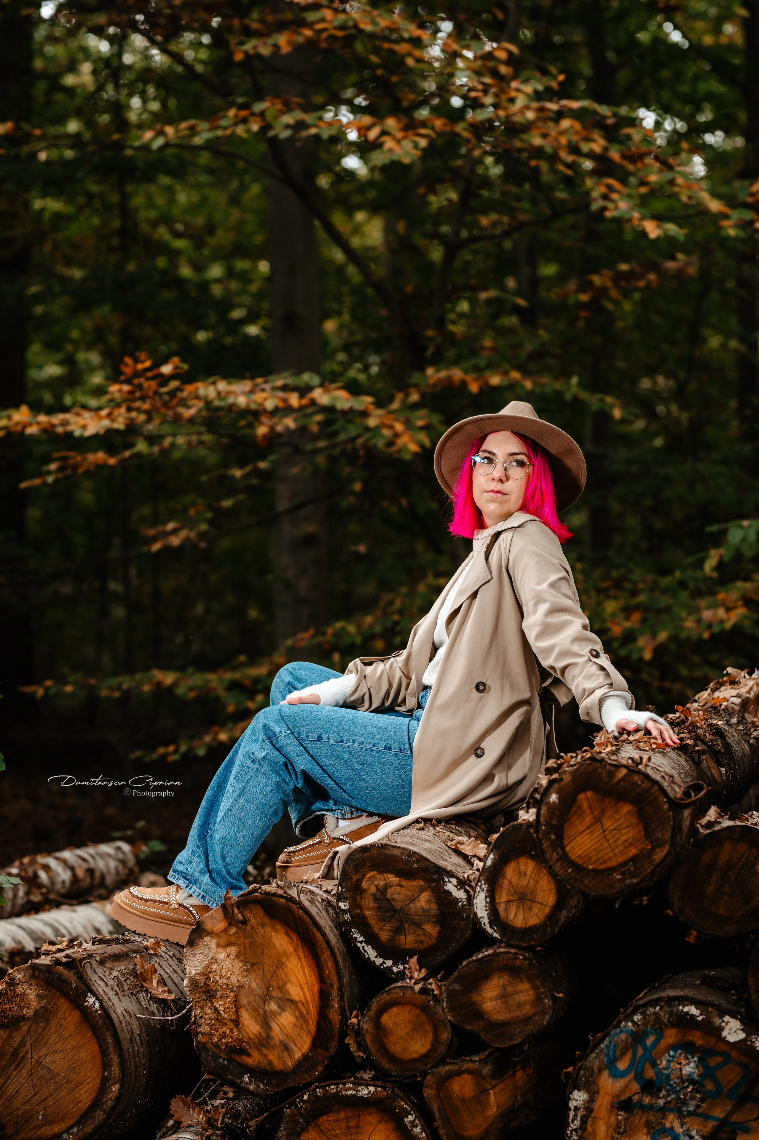 Fall in Light. Dumitrasca Ciprian Photography