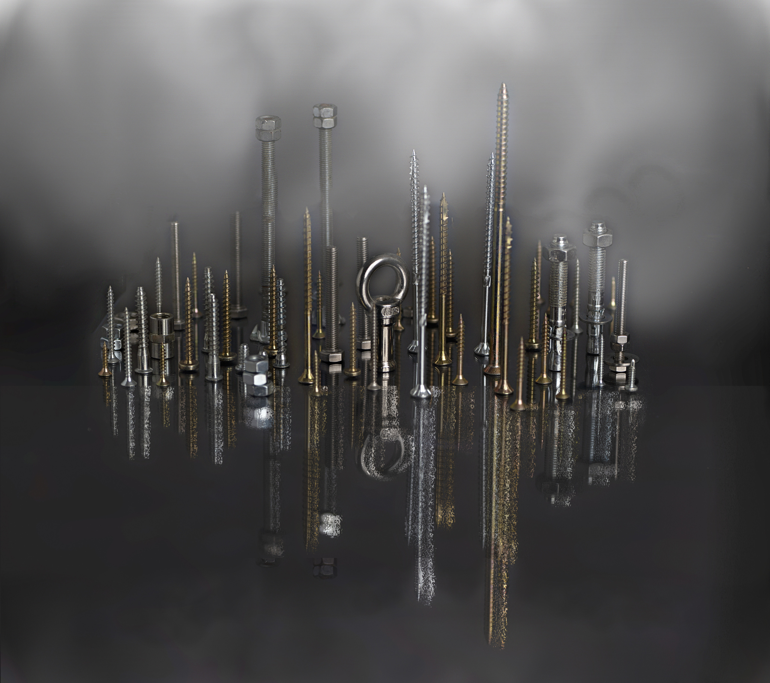 Art dans la photographie. Portrais créatifs de familles et individuels, Ile et Vilaine, France