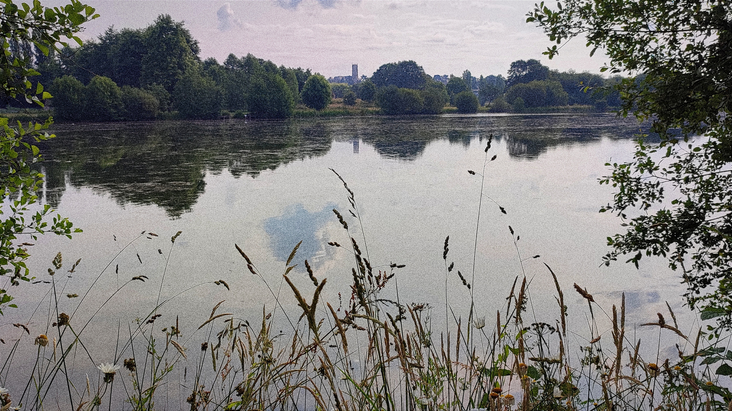 Paysages. Portrais créatifs de familles et individuels, Ile et Vilaine, France