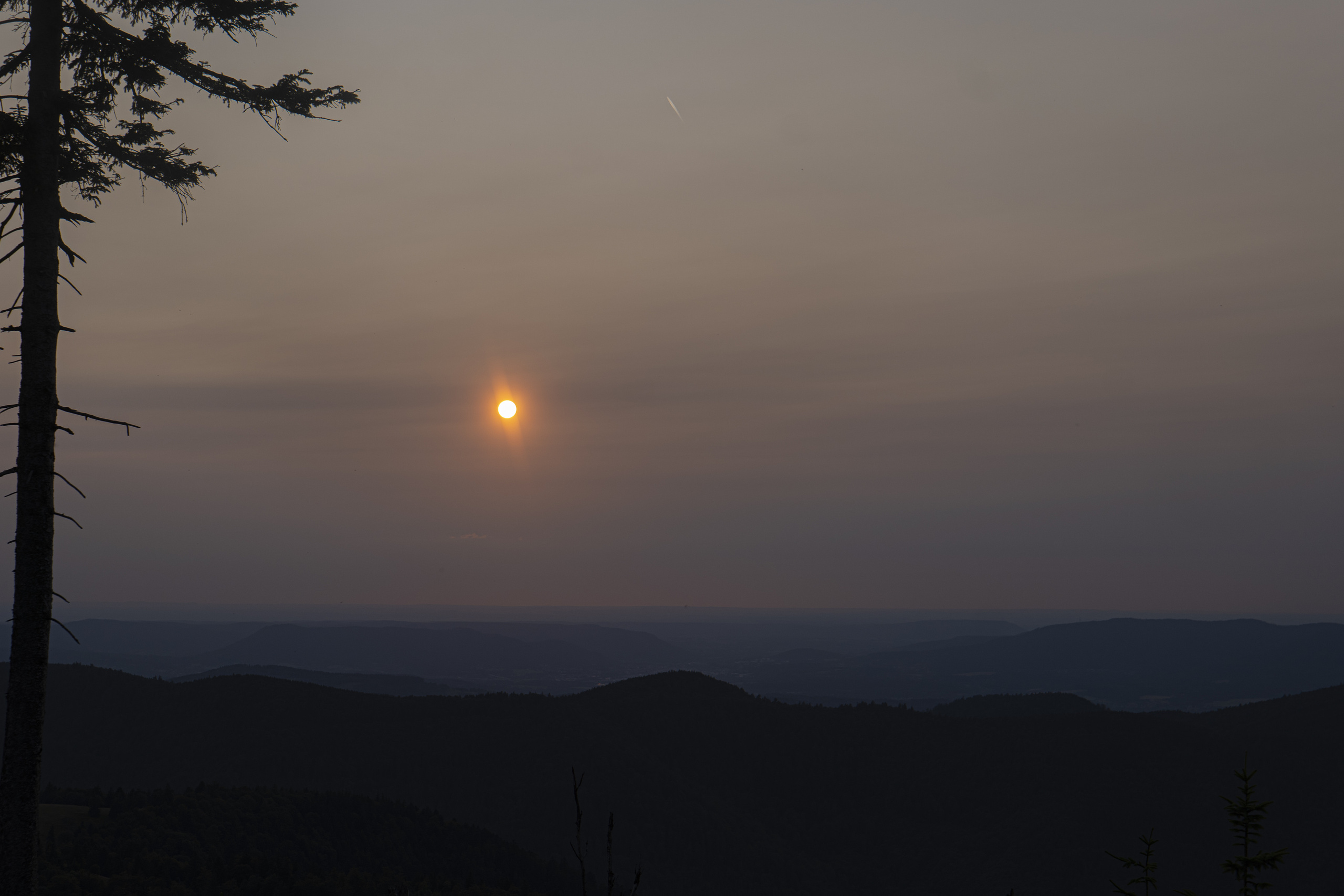 Paysages. Portrais créatifs de familles et individuels, Ile et Vilaine, France