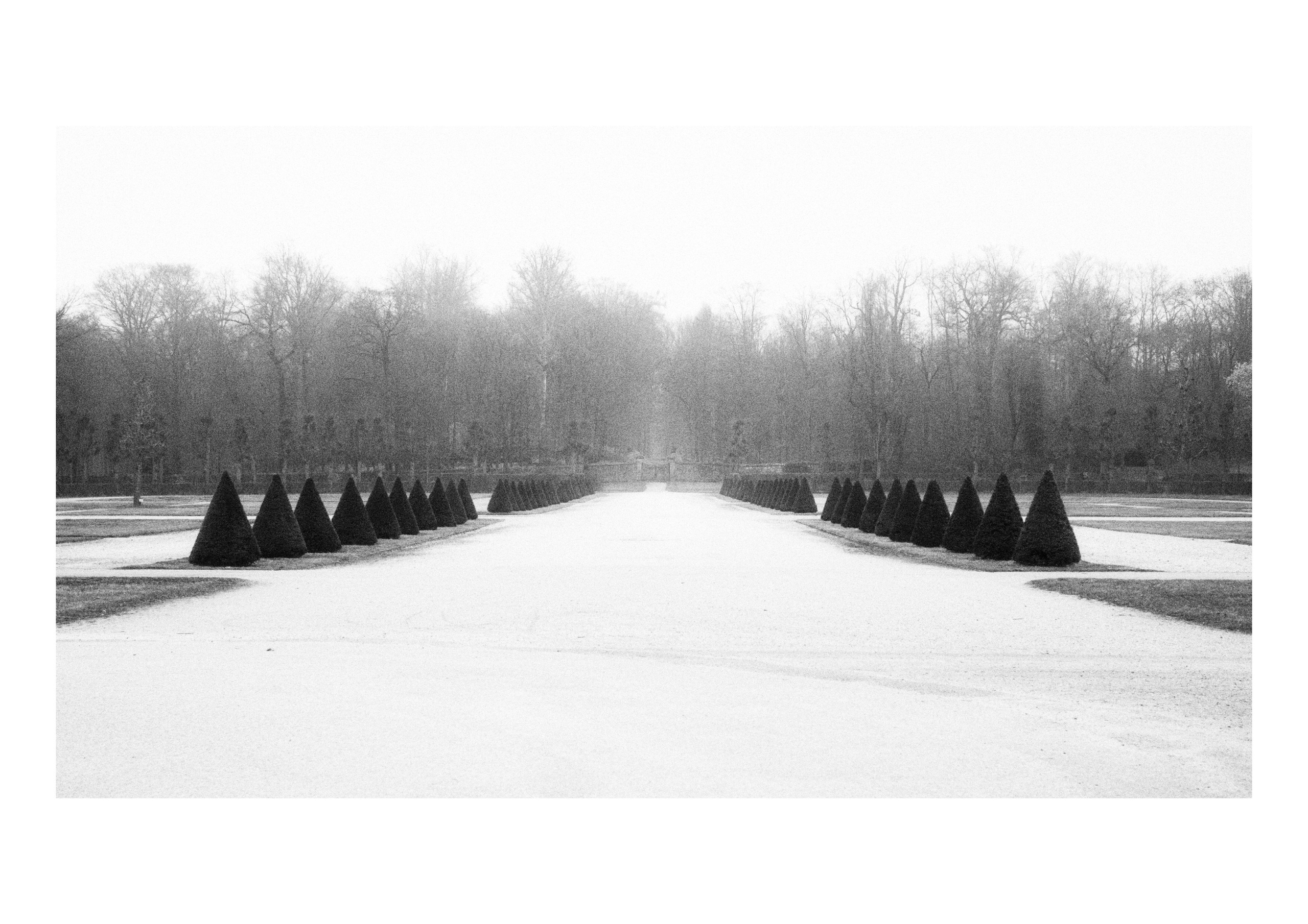 B&W. Cinema that you’ll never see