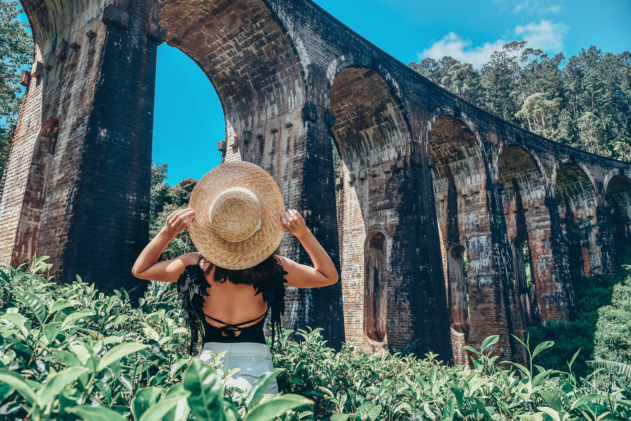 Фото туры на Шри Ланке. Фотограф на Шри Ланке