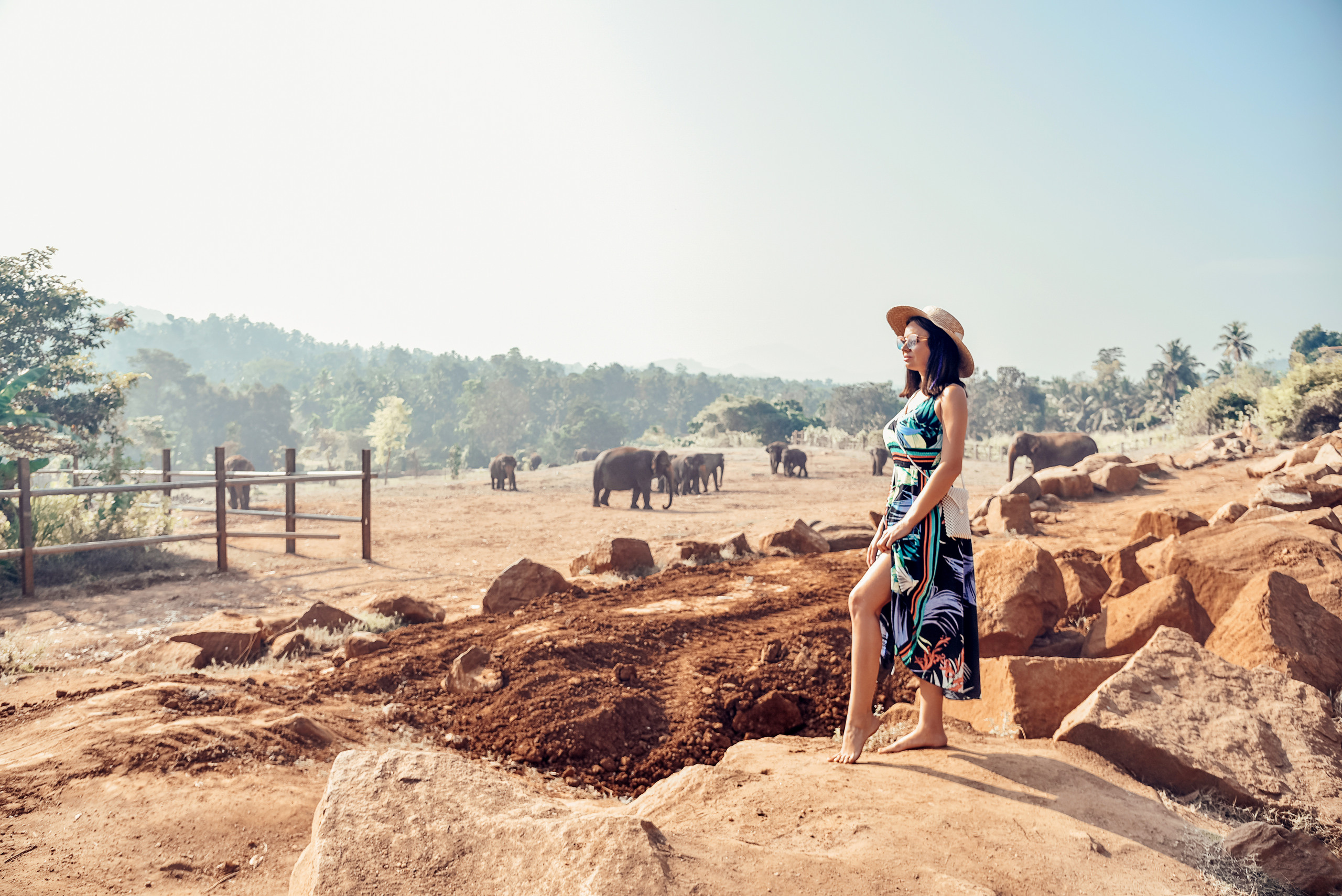 Фото туры на Шри Ланке. Фотограф на Шри Ланке
