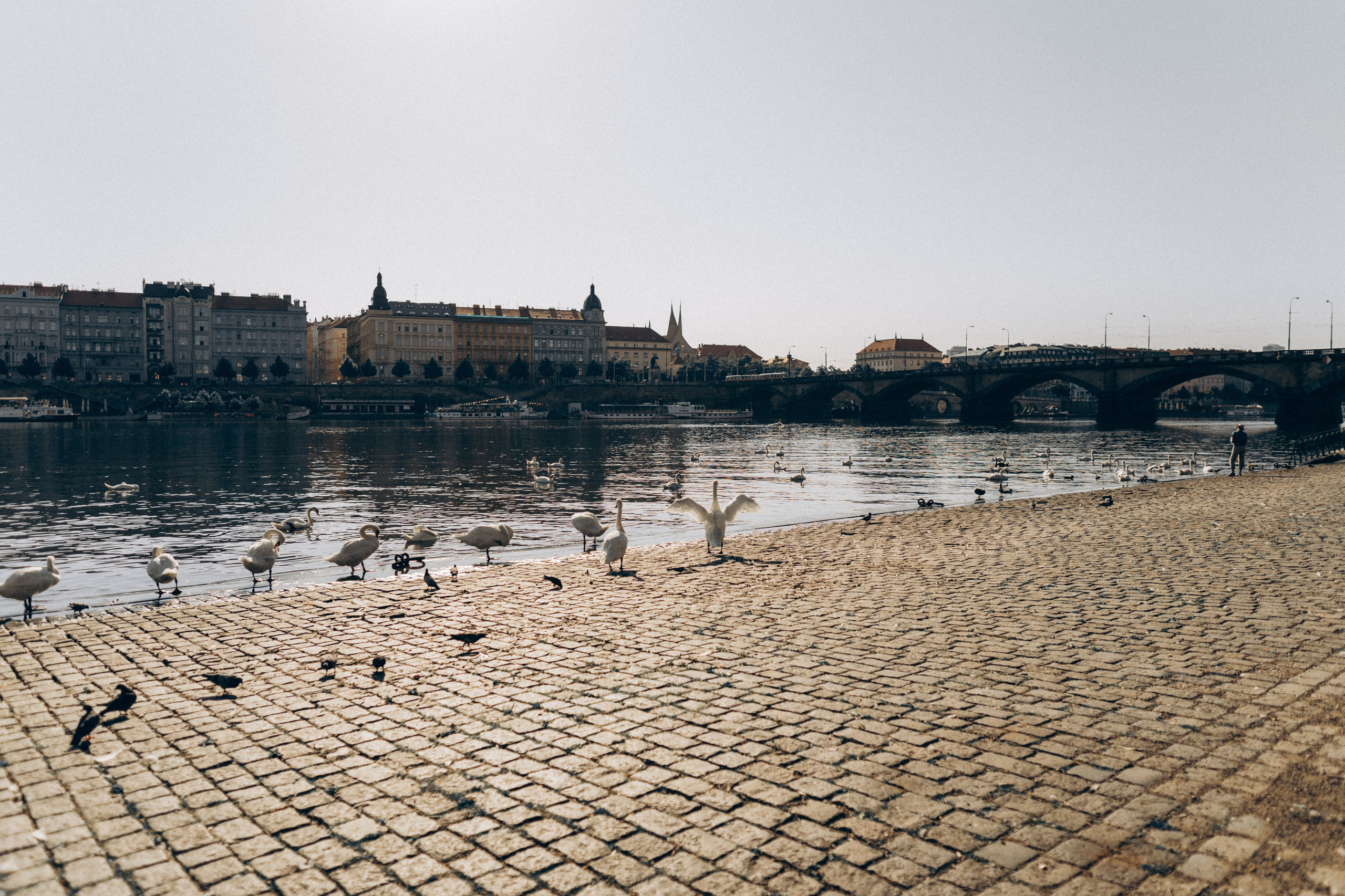 . Фотограф в Праге Анна Лебедева
