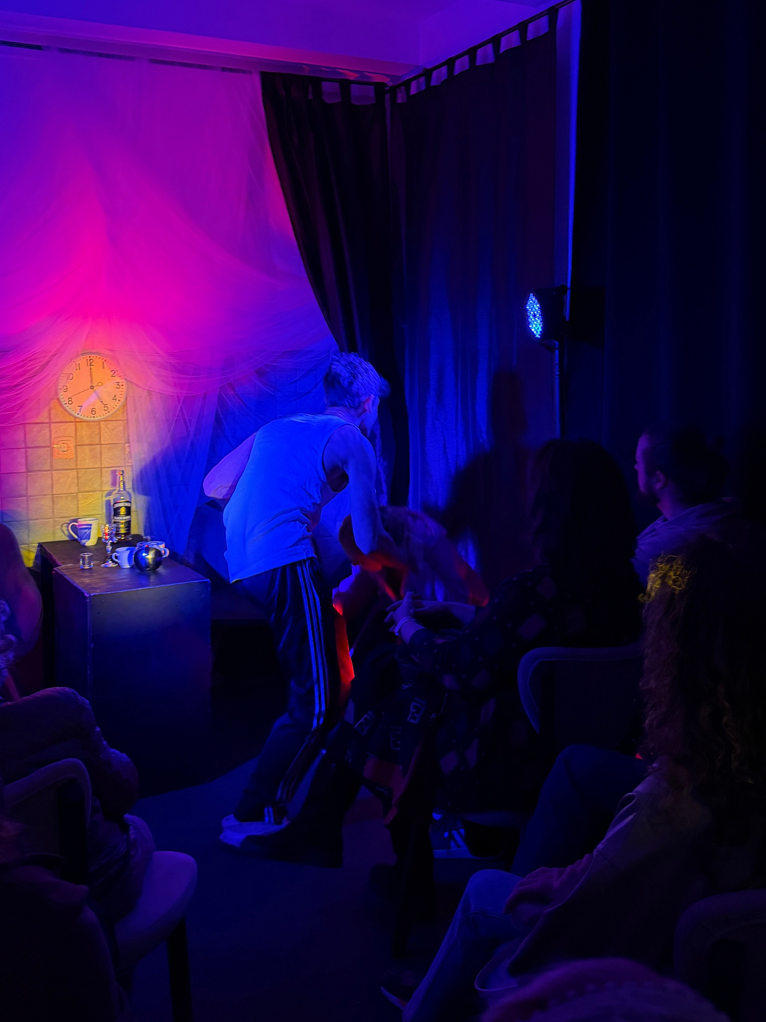 Фоторепортаж вистави у Будві. Портретний фотограф Альона Новгородцева