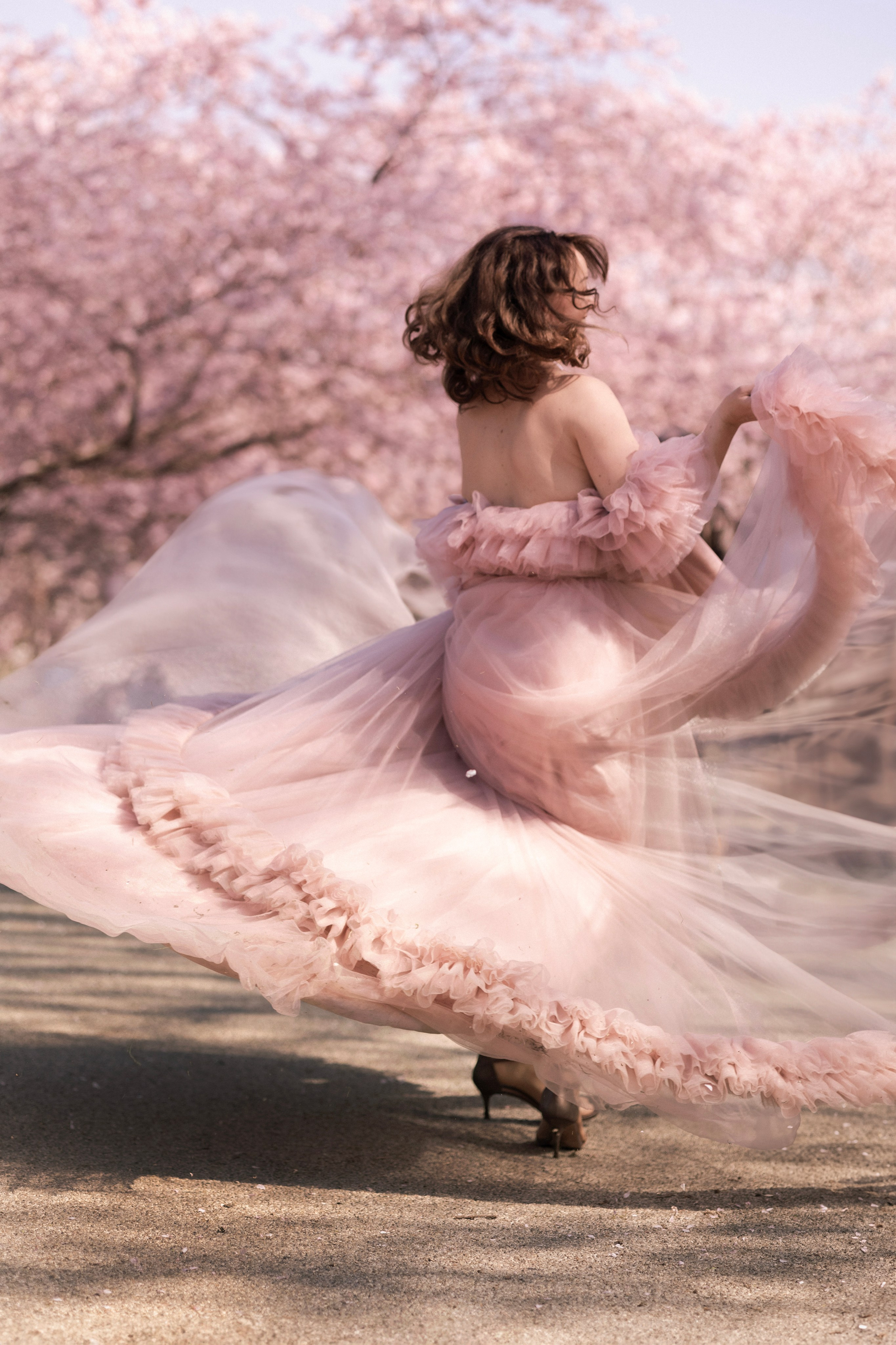 Sakura. Photographer in Munich