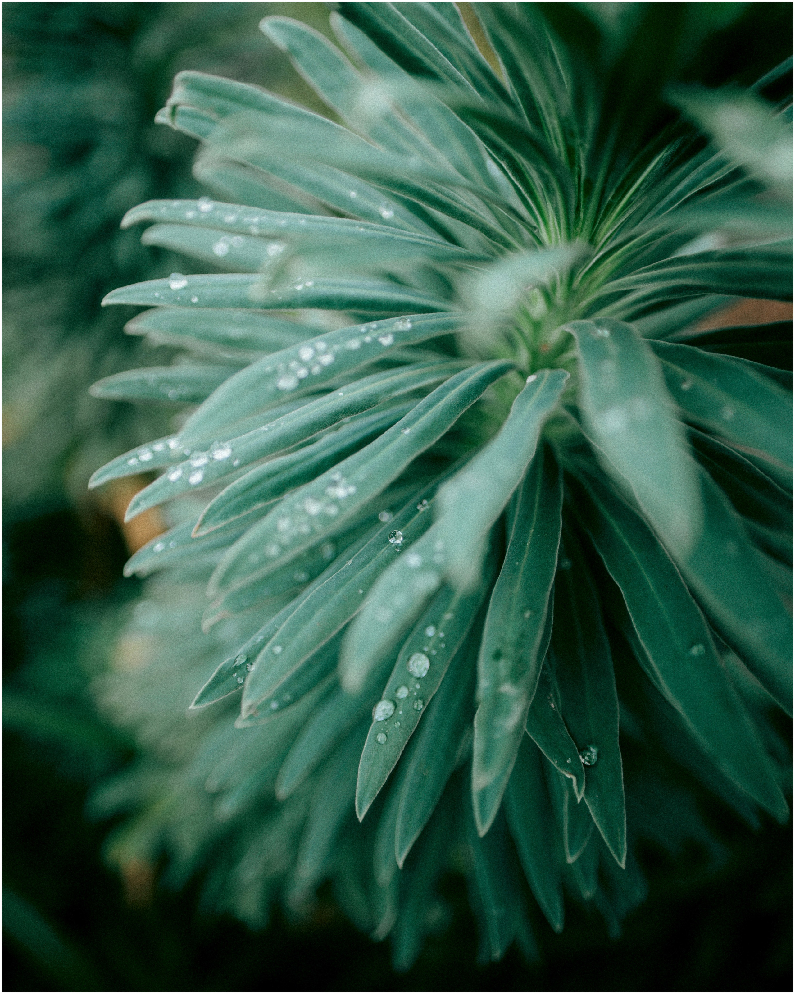 IRELAND. Inna Mendelson — Photographer