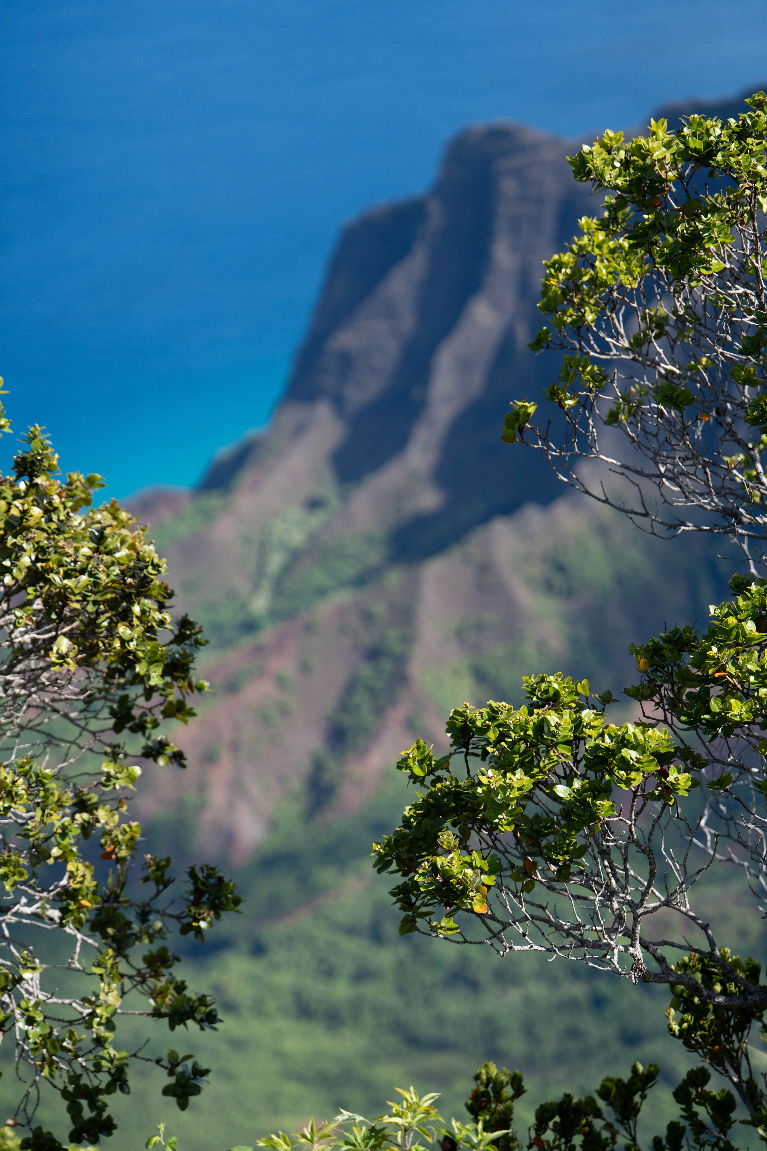 LANDSCAPES. Awards winning photographer in Kauai, Hawaii