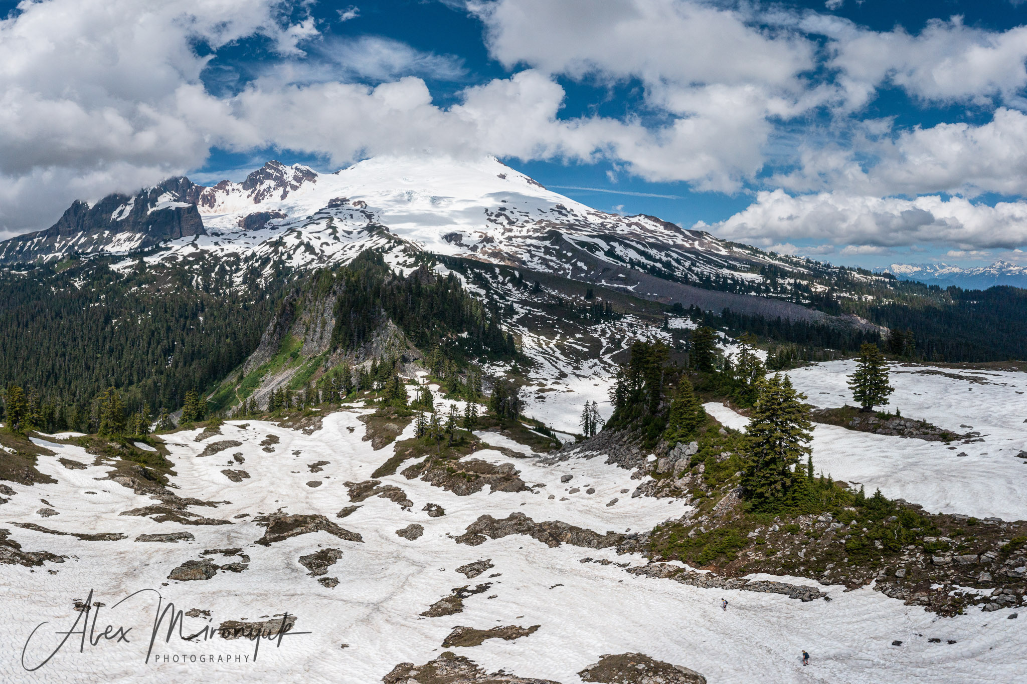 North Cascades Hiking Adventure Summer. Pet, Senior, Landscape, portrait studio, photographer in Miami and Sou