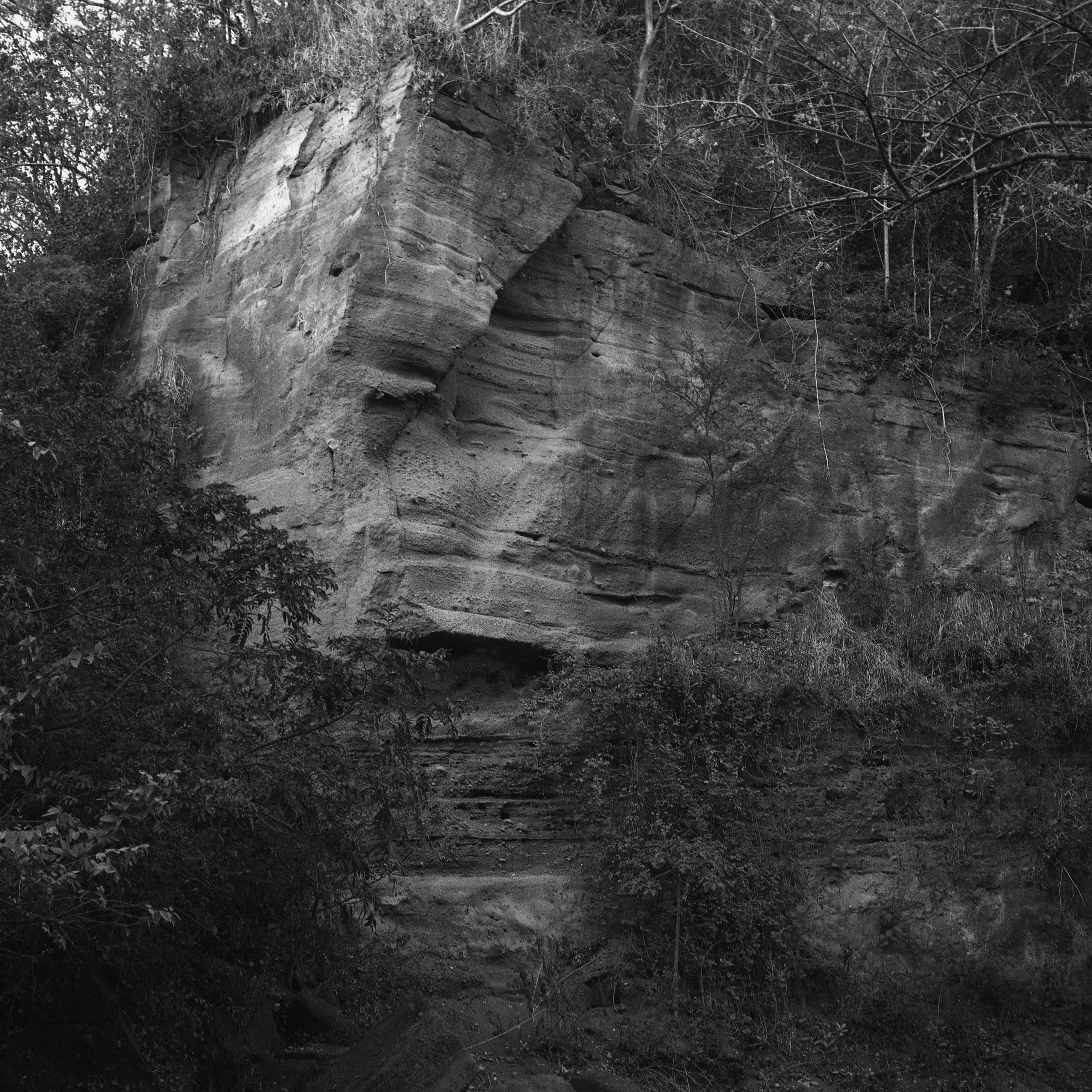 Polina Soyref, portrait photographer