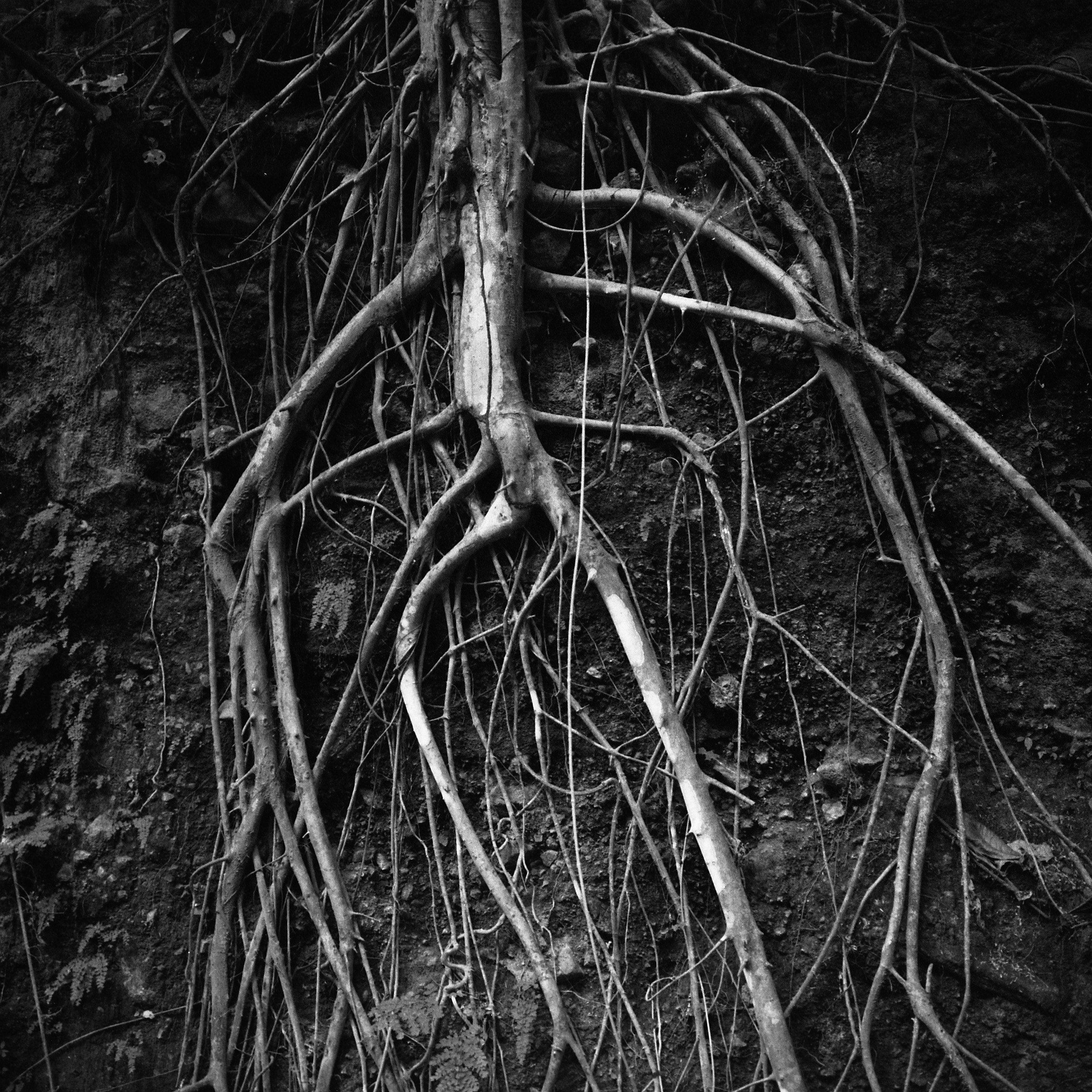 Polina Soyref, portrait photographer