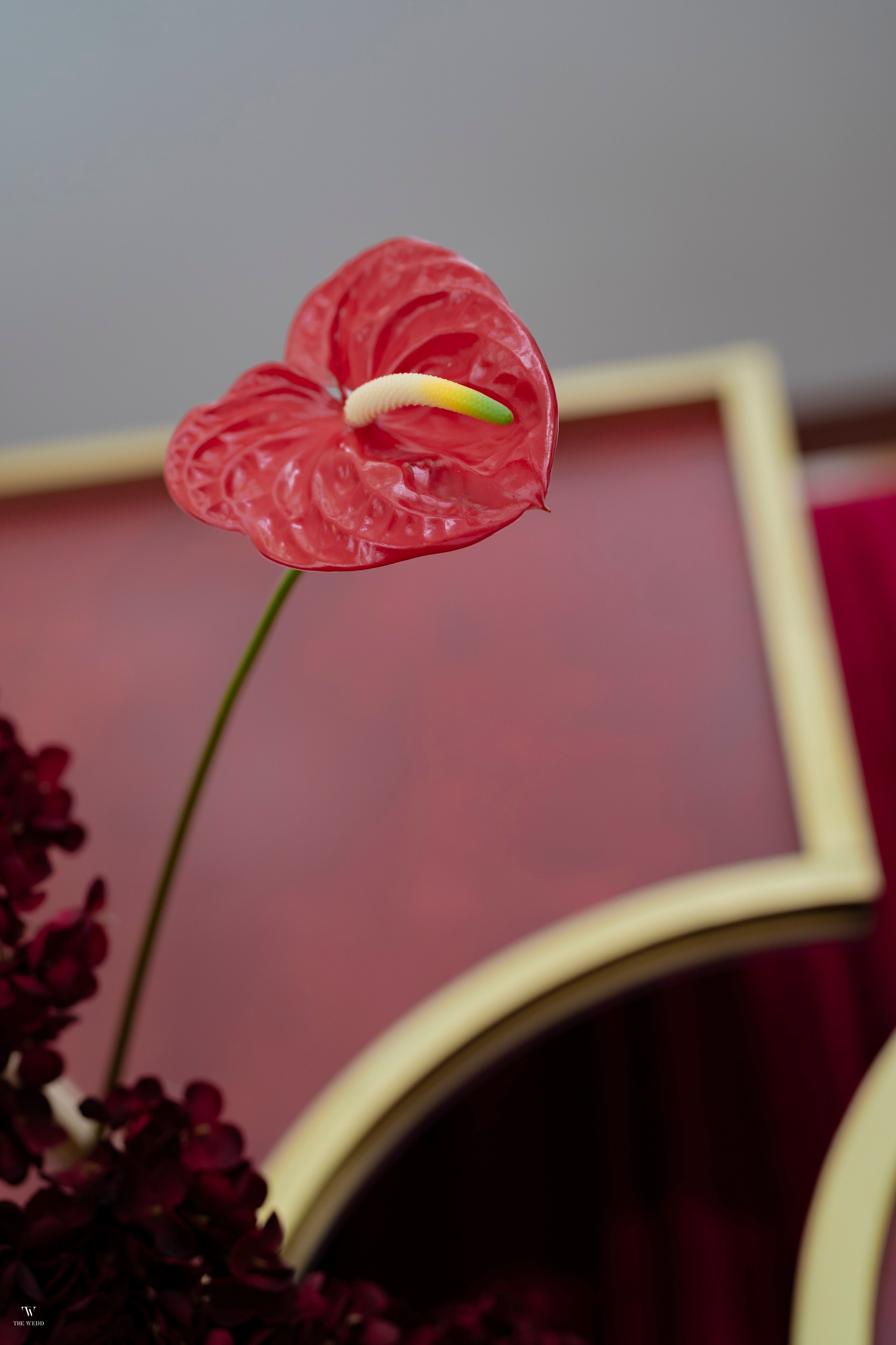NAM & PHƯỢNG. WEDDING PHOTOGRAPHER IN VIETNAM