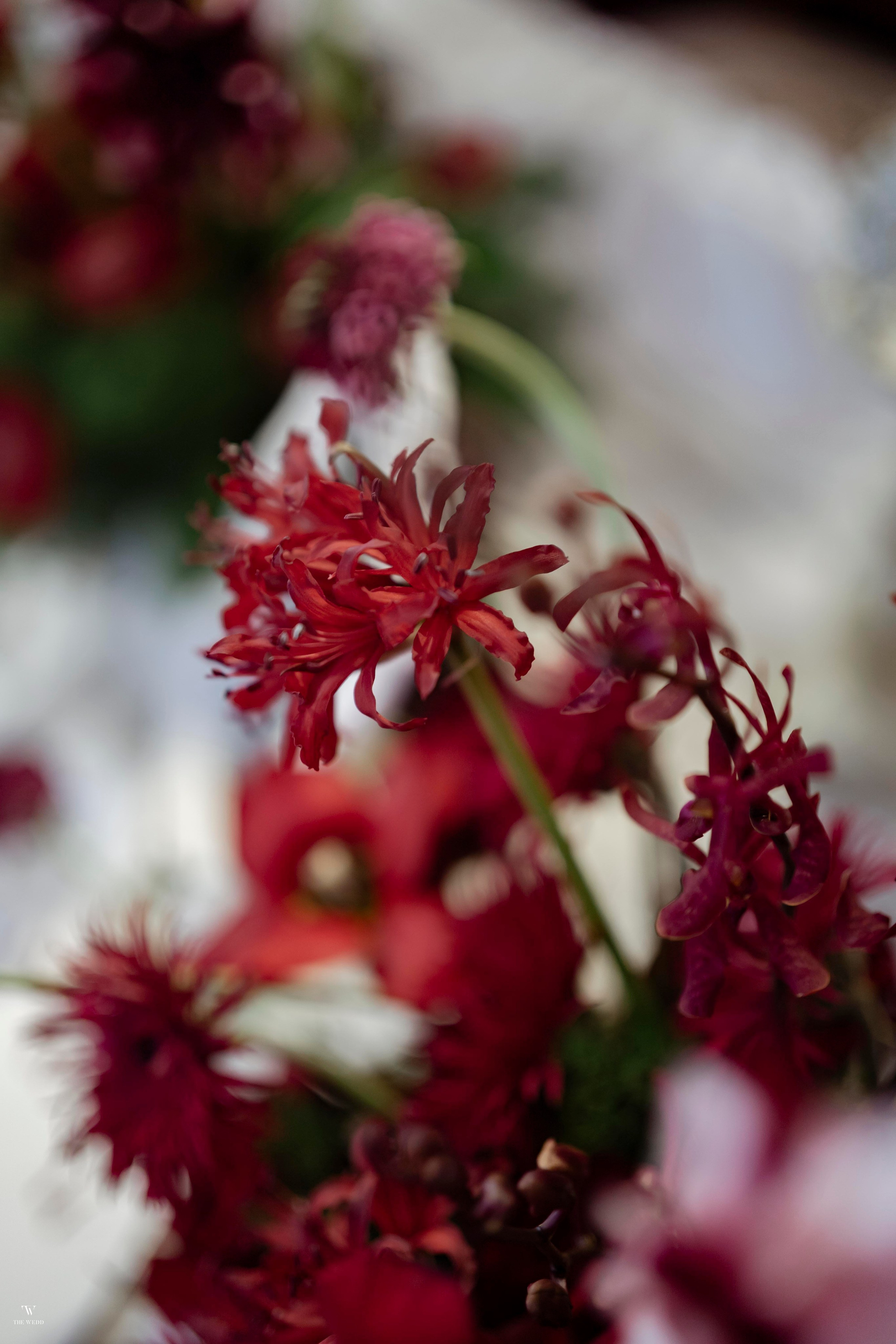 NGHIA & NGOC. WEDDING PHOTOGRAPHER IN VIETNAM