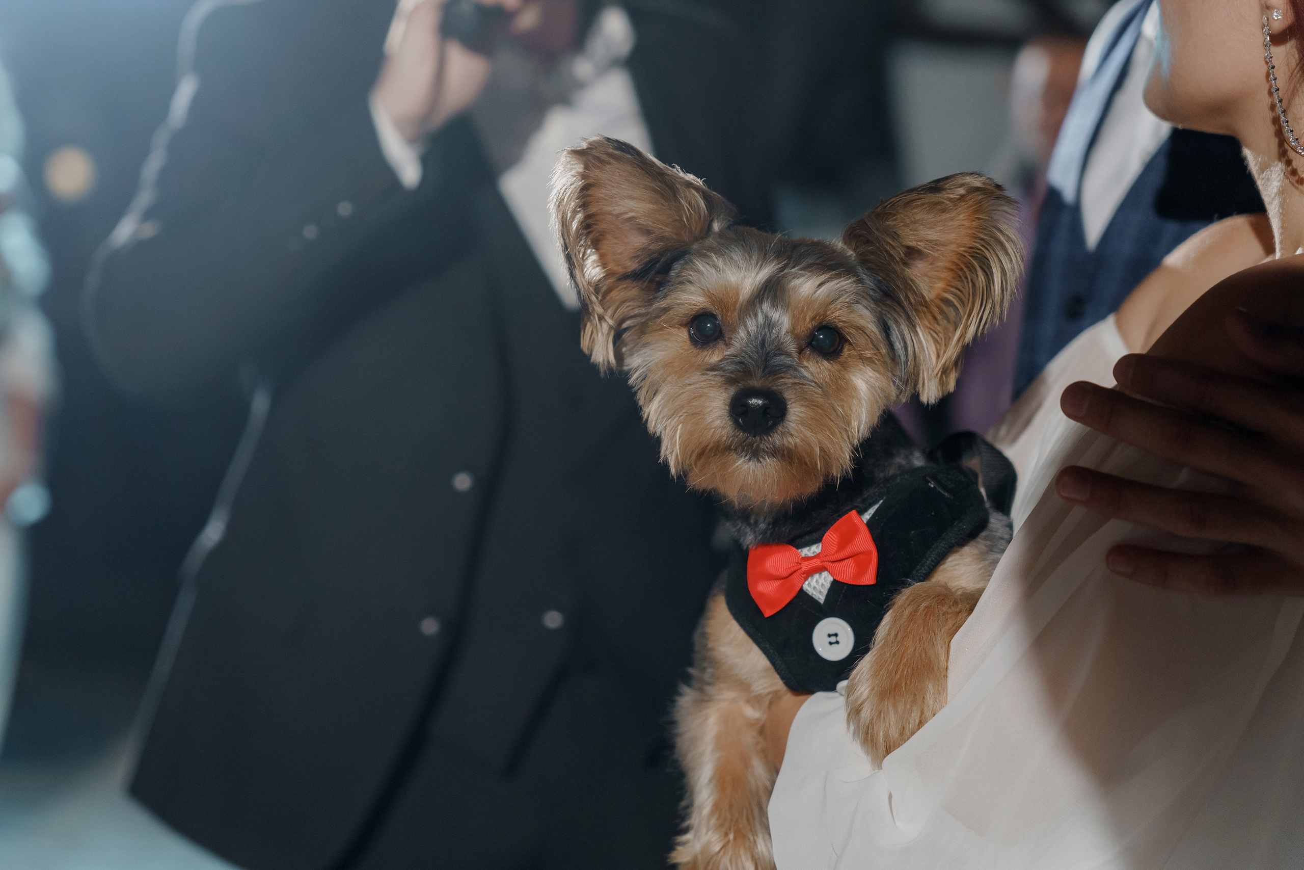 Алексей и Александра. Orange County Wedding Photographer & Videographer | Candid & Timeless Wedding Photo + Video | Italiantsev