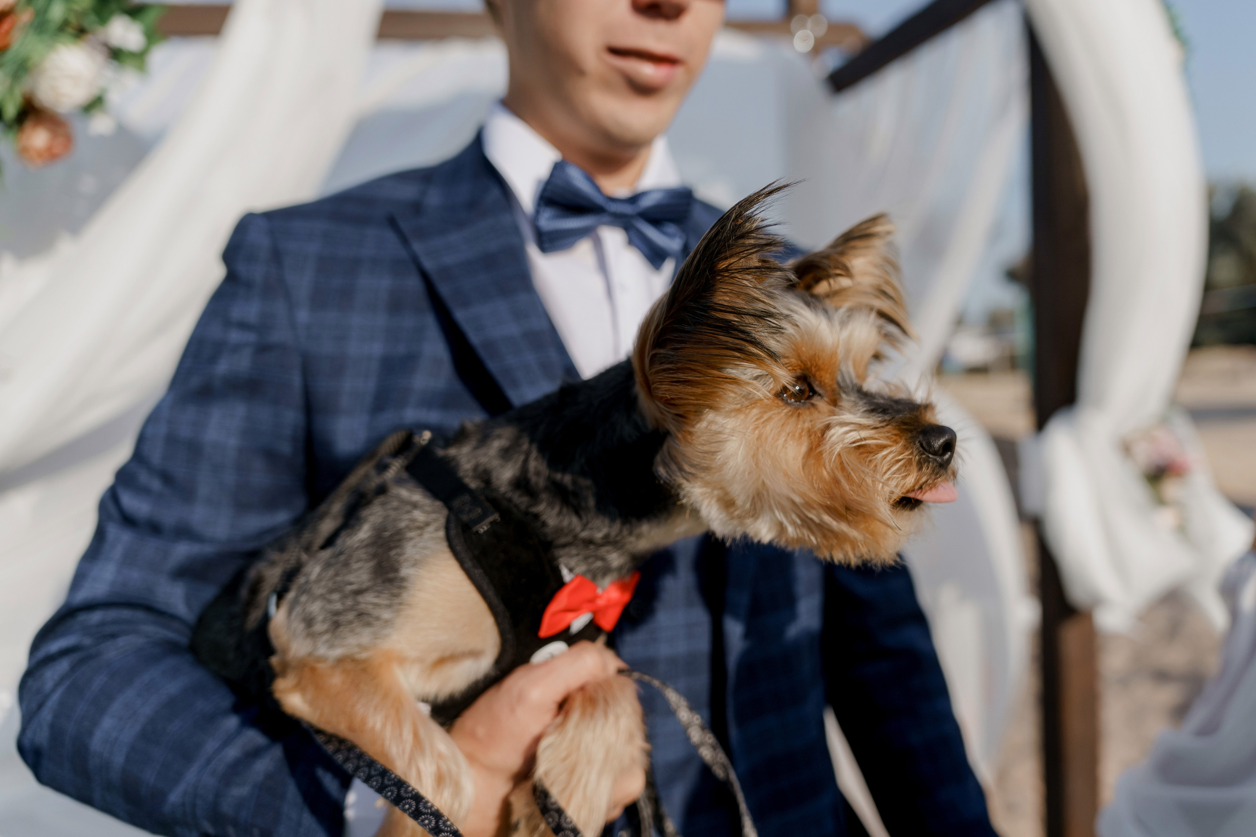 Алексей и Александра. Orange County Wedding Photographer & Videographer | Candid & Timeless Wedding Photo + Video | Italiantsev