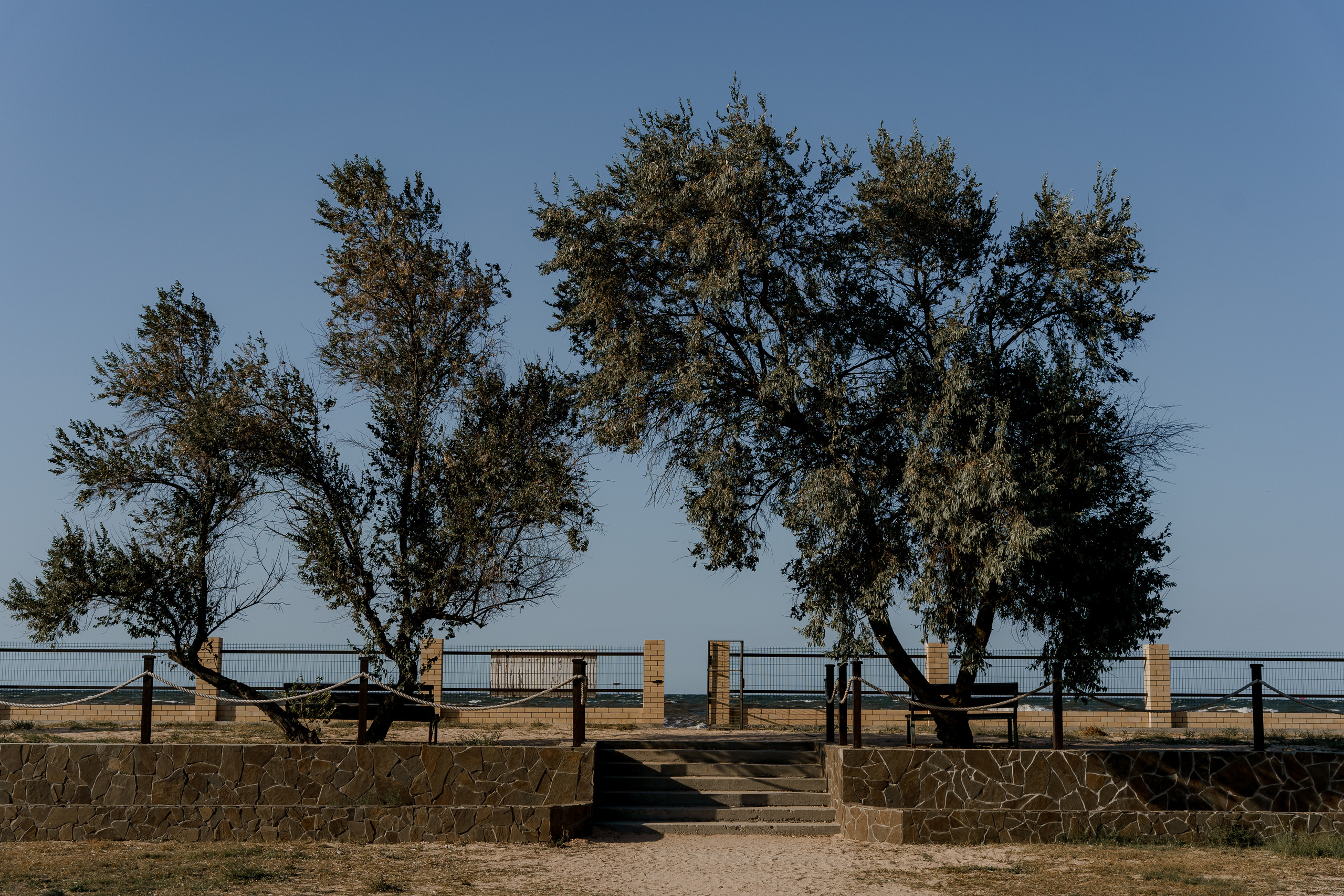 Алексей и Александра. Orange County Wedding Photographer & Videographer | Candid & Timeless Wedding Photo + Video | Italiantsev