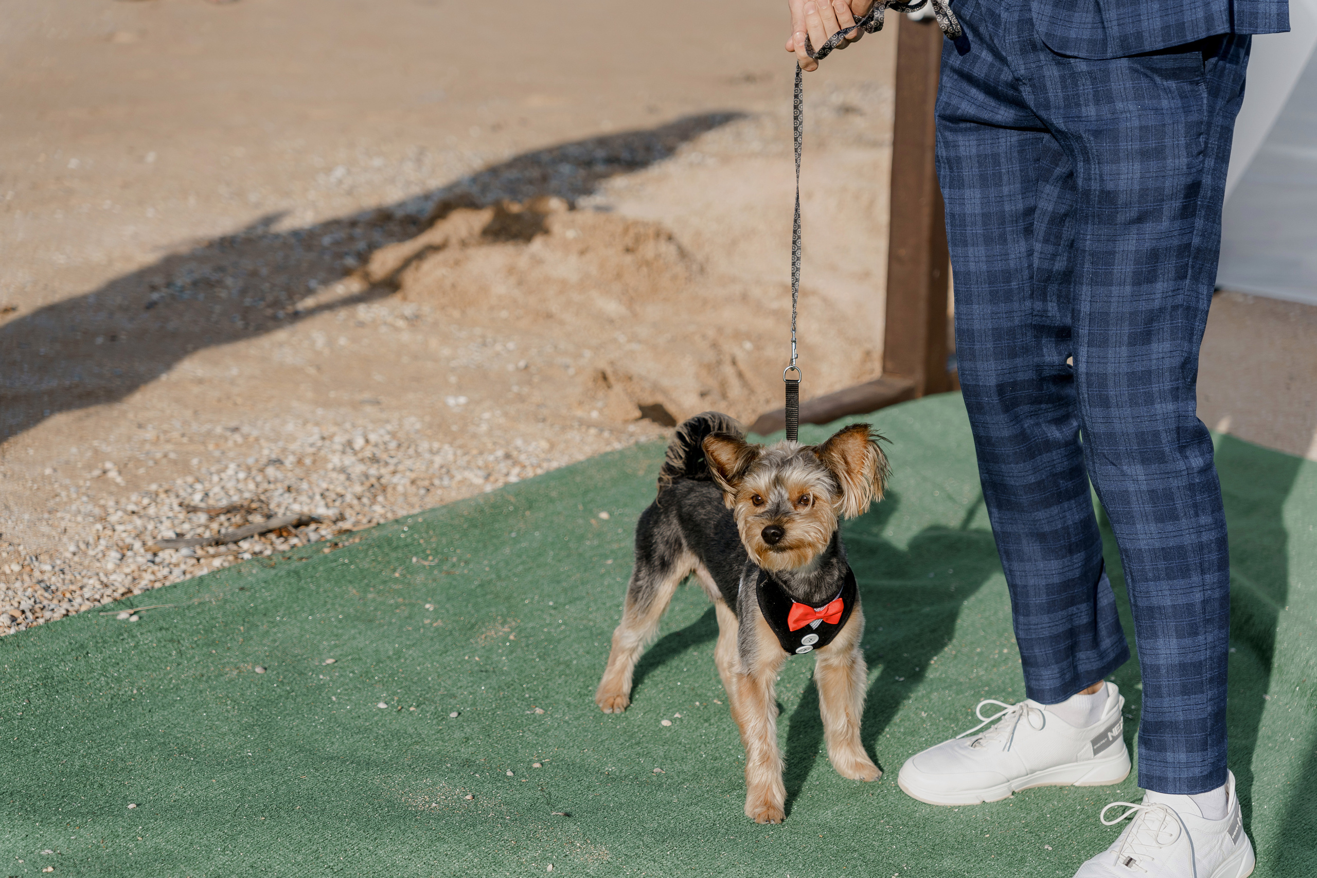 Алексей и Александра. Orange County Wedding Photographer & Videographer | Candid & Timeless Wedding Photo + Video | Italiantsev