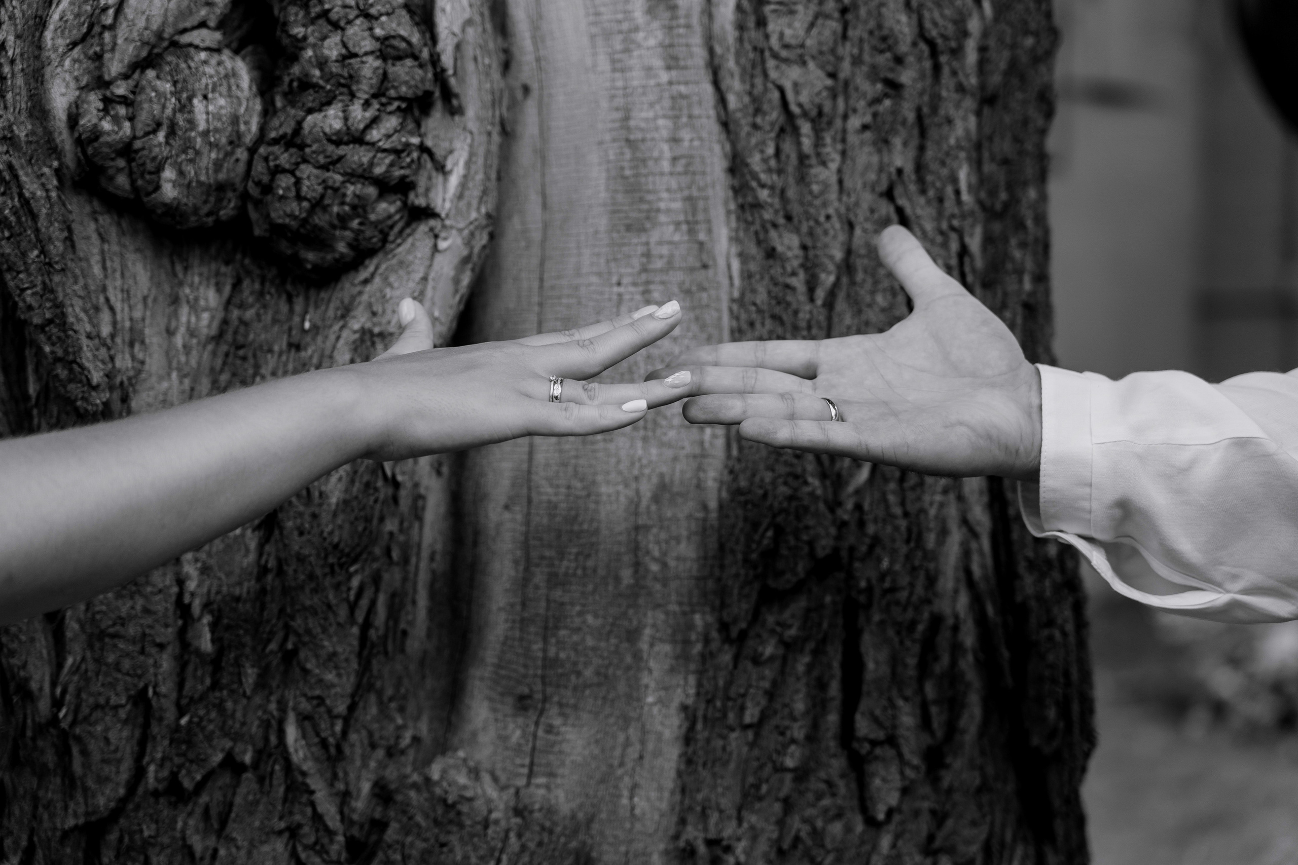 Максим и Наташа. Orange County Wedding Photographer & Videographer | Candid & Timeless Wedding Photo + Video | Italiantsev