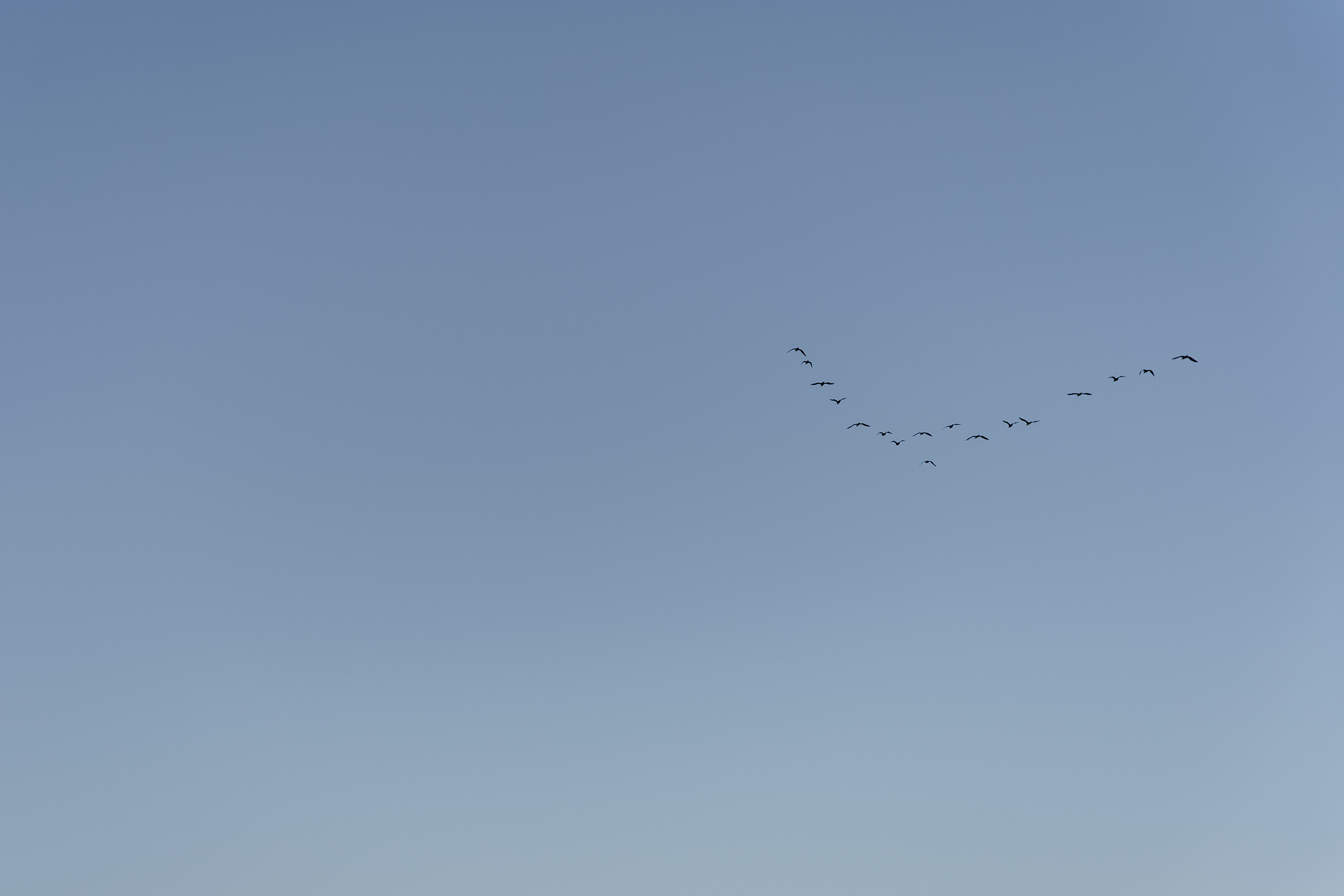 Алексей и Александра. Orange County Wedding Photographer & Videographer | Candid & Timeless Wedding Photo + Video | Italiantsev