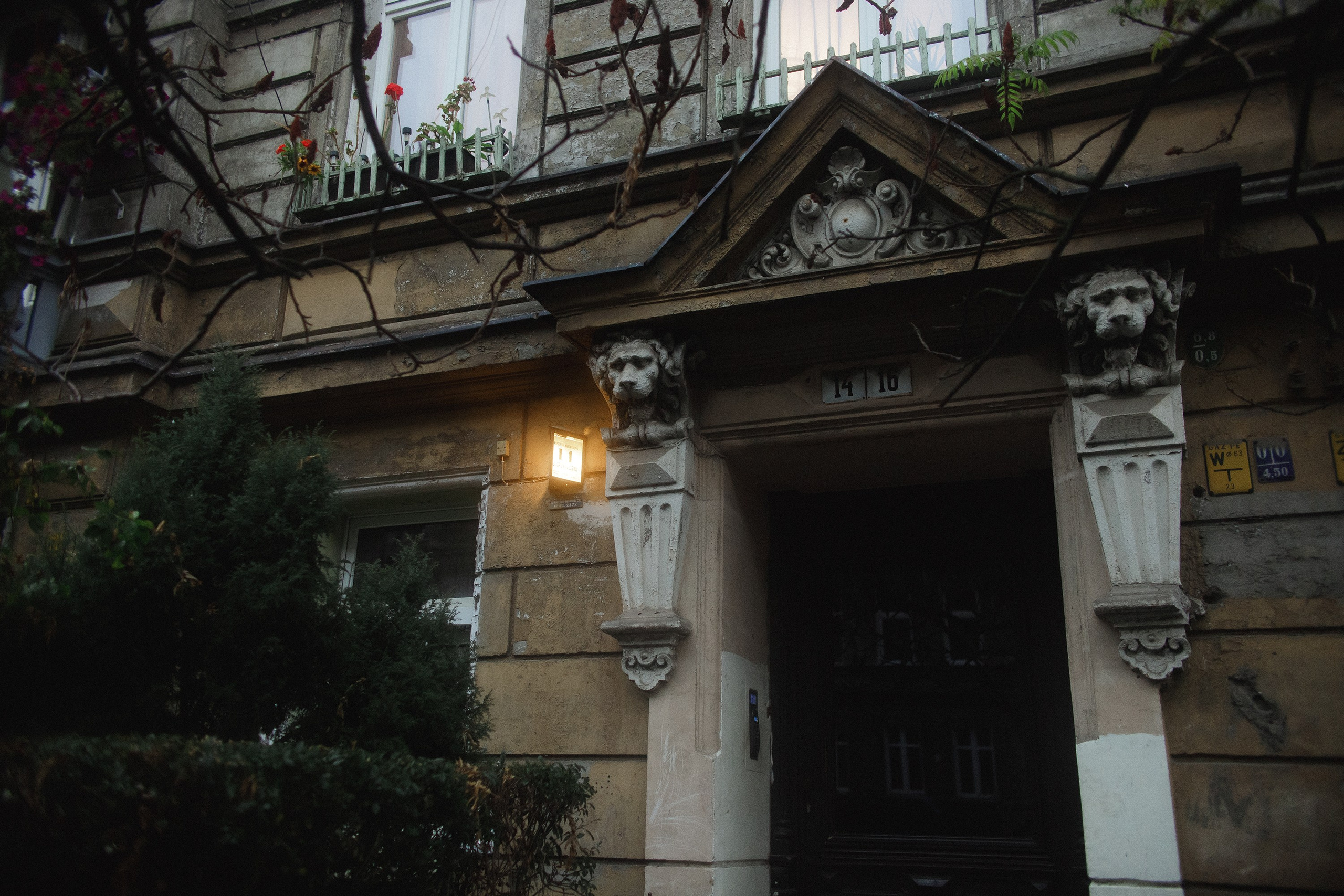 Nastya. Kaja | fotograf psów we Wrocławiu