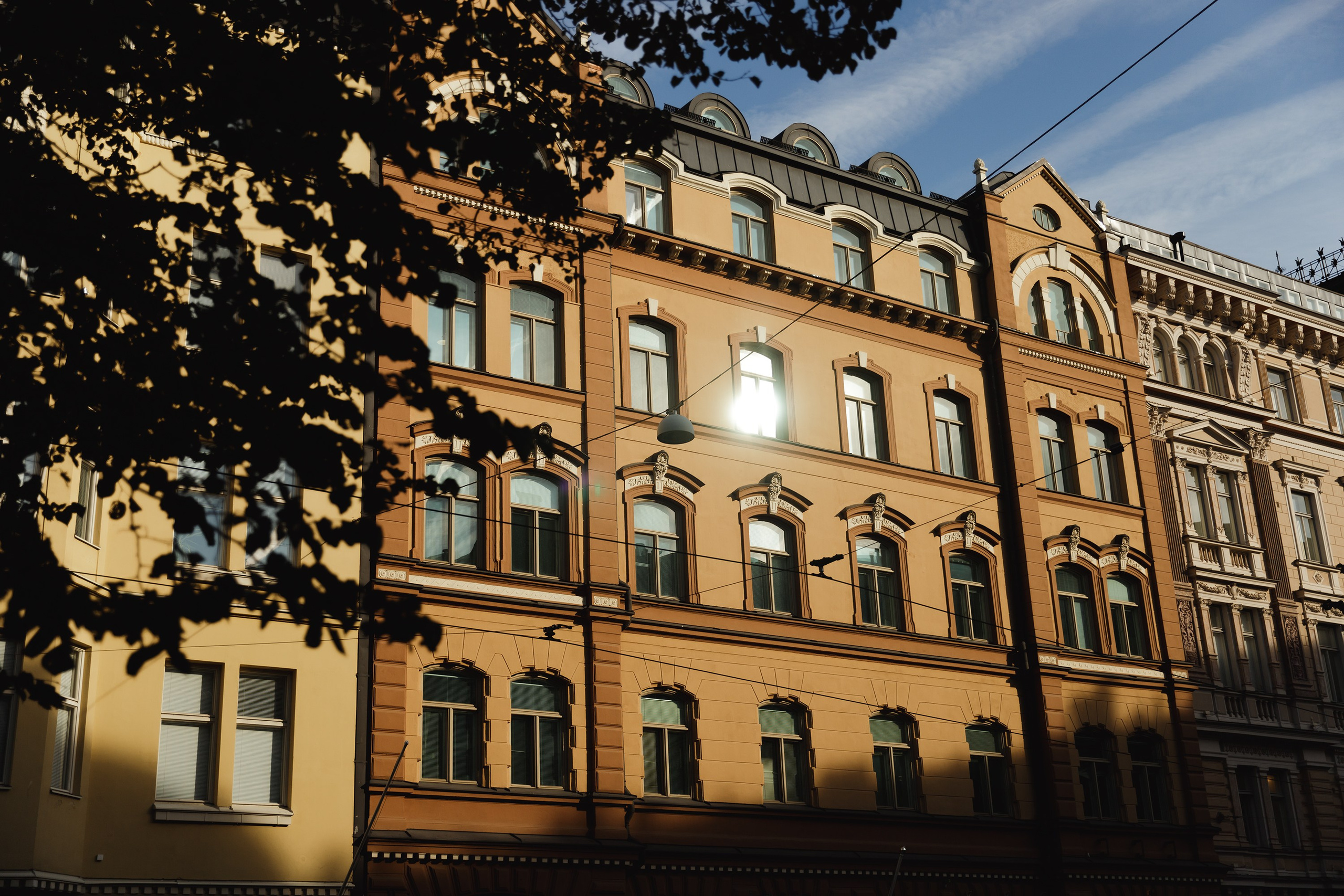 Helsinki. Kaja | fotograf psów we Wrocławiu