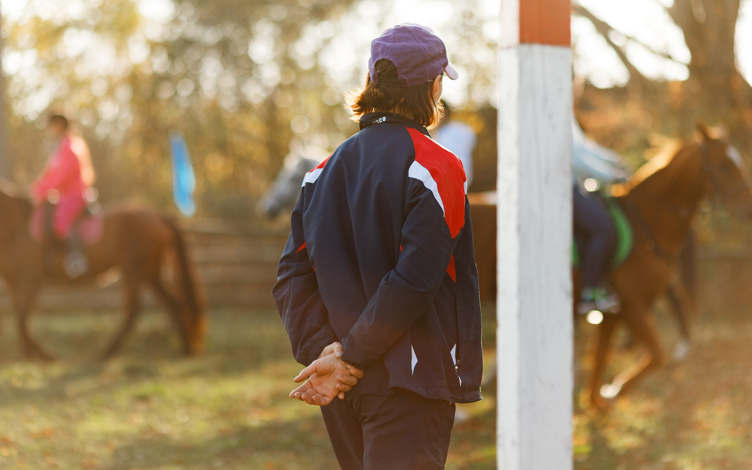 Autumn equestrian training. Kaja | fotograf psów we Wrocławiu