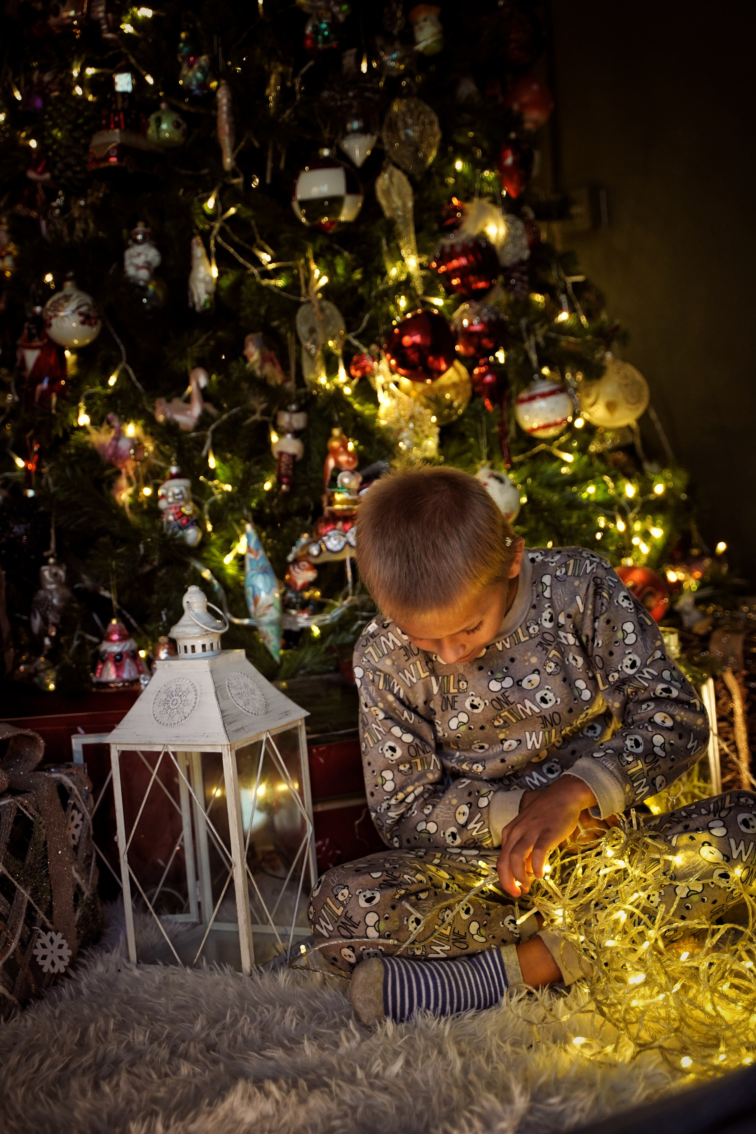 Эльфы. Фотограф. Визуал. Хайфа. Талья Цветкова