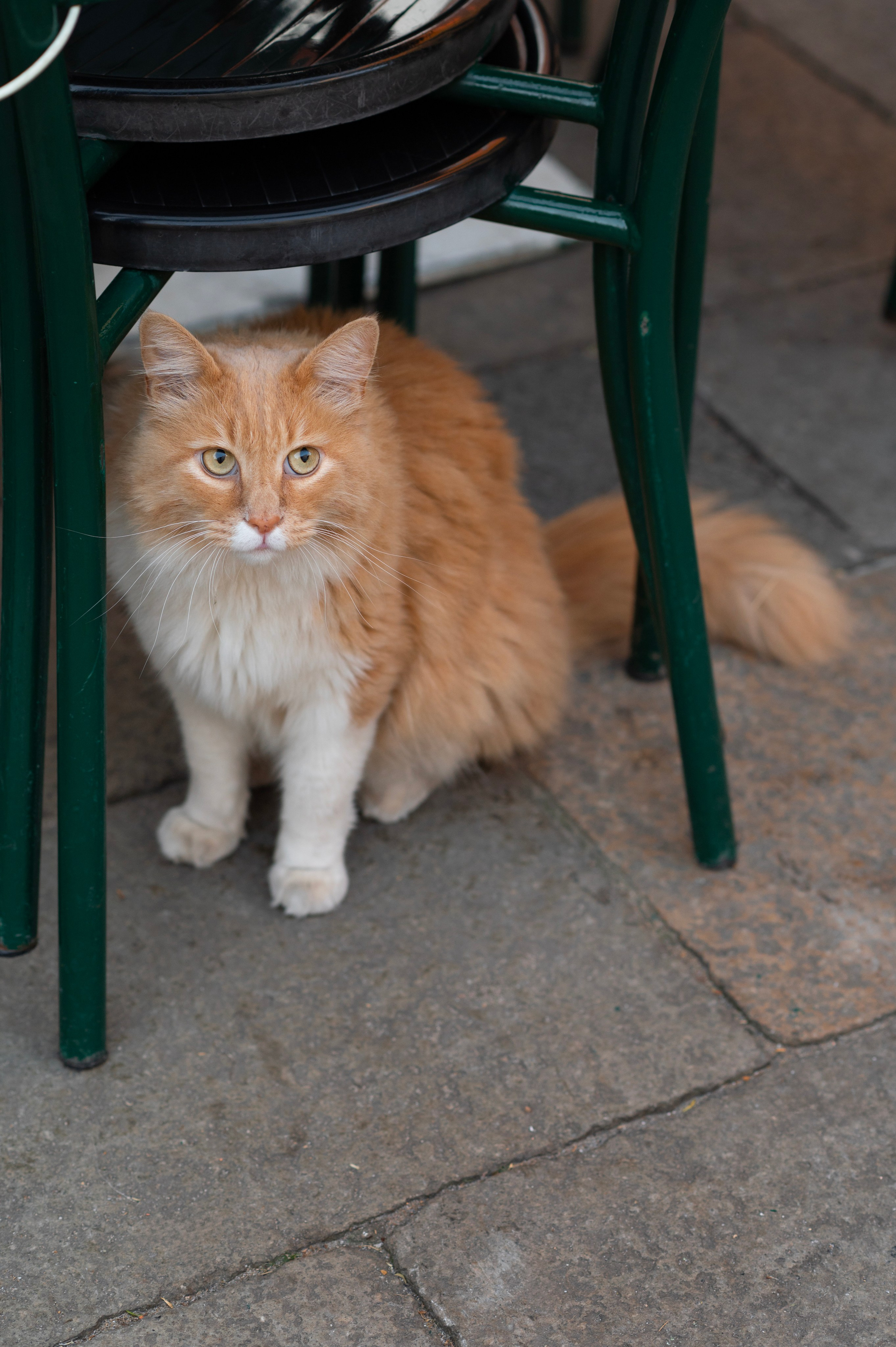 Tanya&Masha. Photographer in Venice Anna Terzi