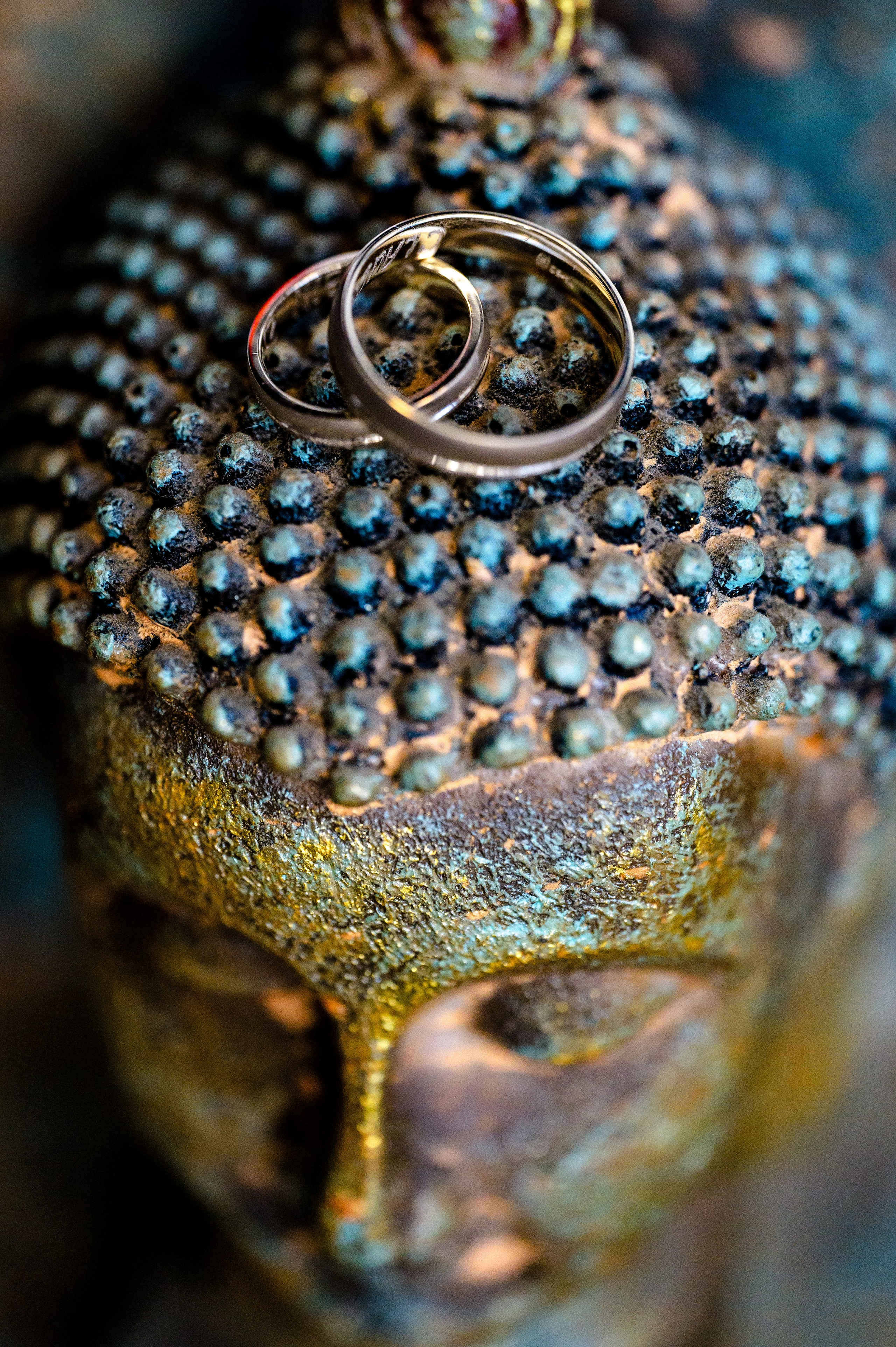 BYZO MEDIA. PETRU BYZO - family and children photographer in ROMANIA