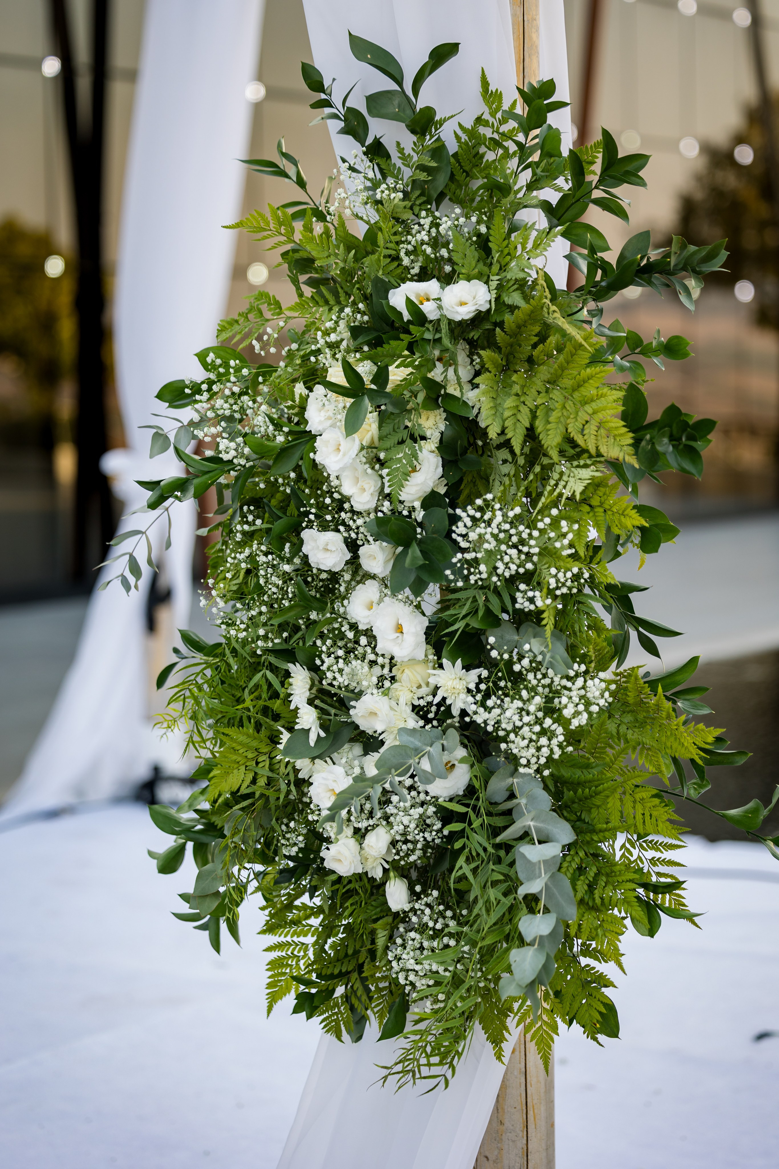 Osher & Or. AMIR BUCHNIK PHOTOGRAPHER