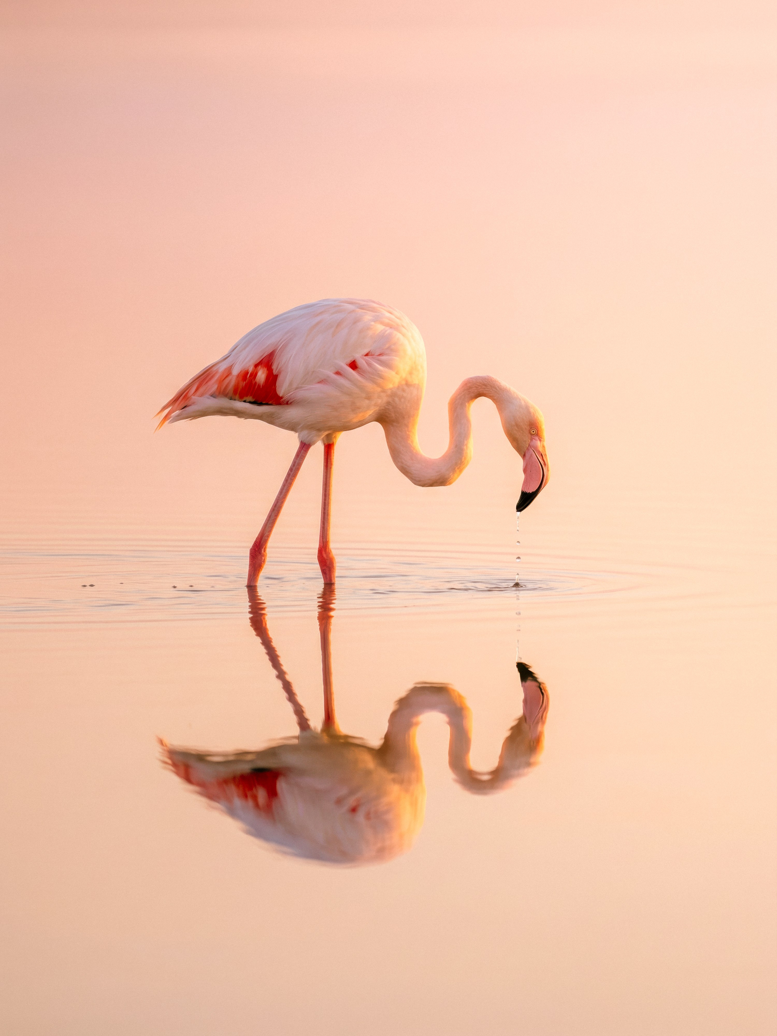 Photos of places around the World