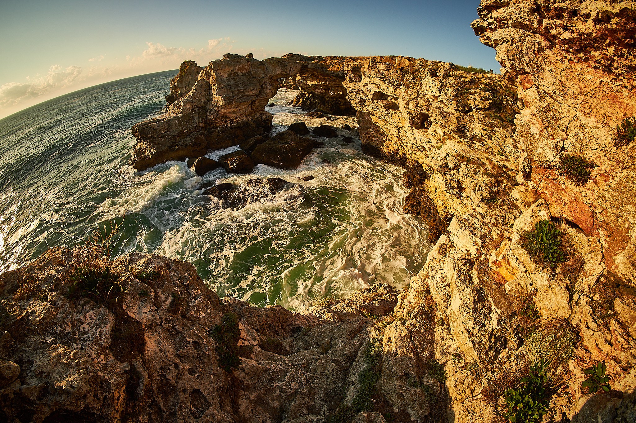 Tyulenovo, Bulgaria. Pagina principală