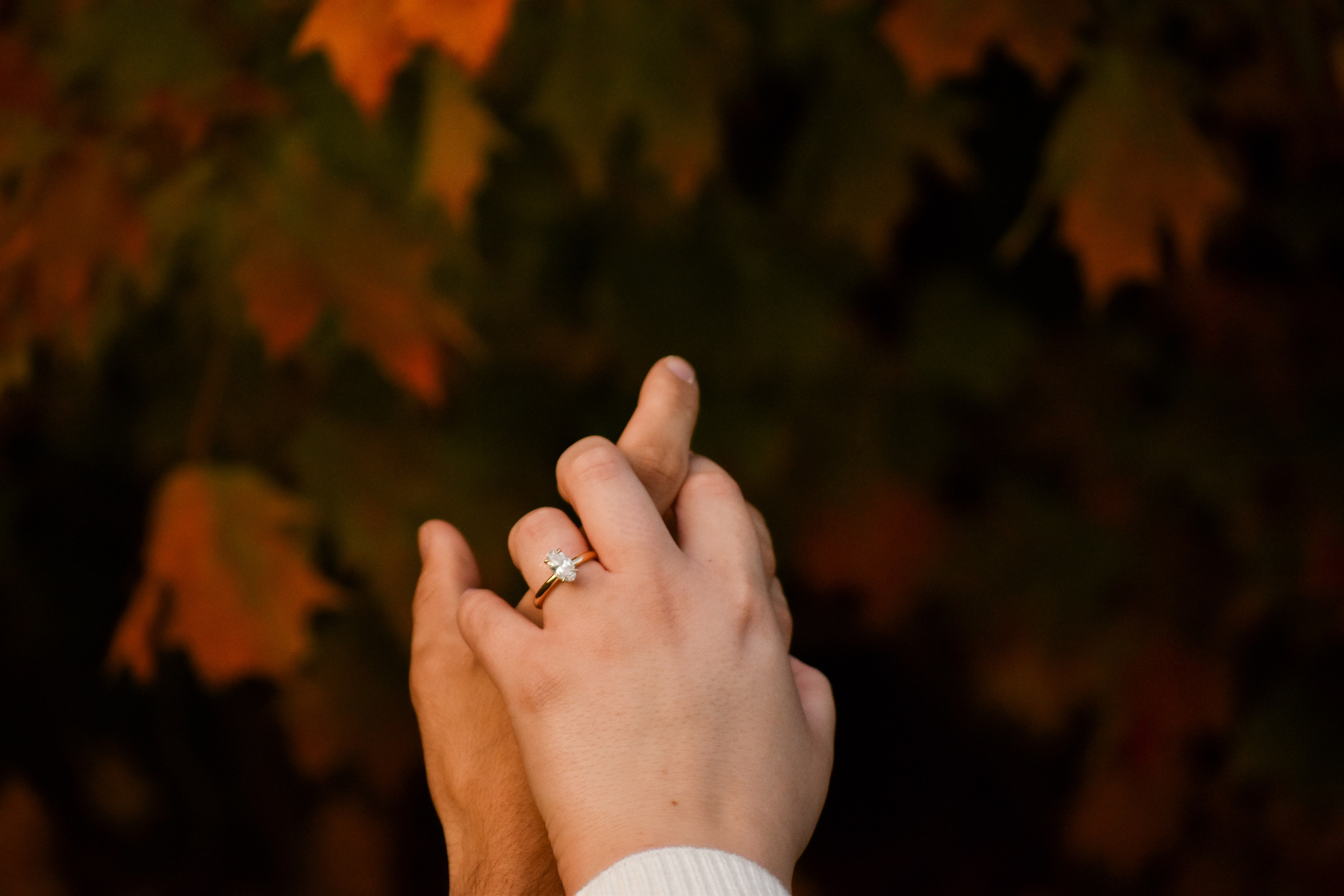 Sydney & Rio — Engagement Photoshoot. Main