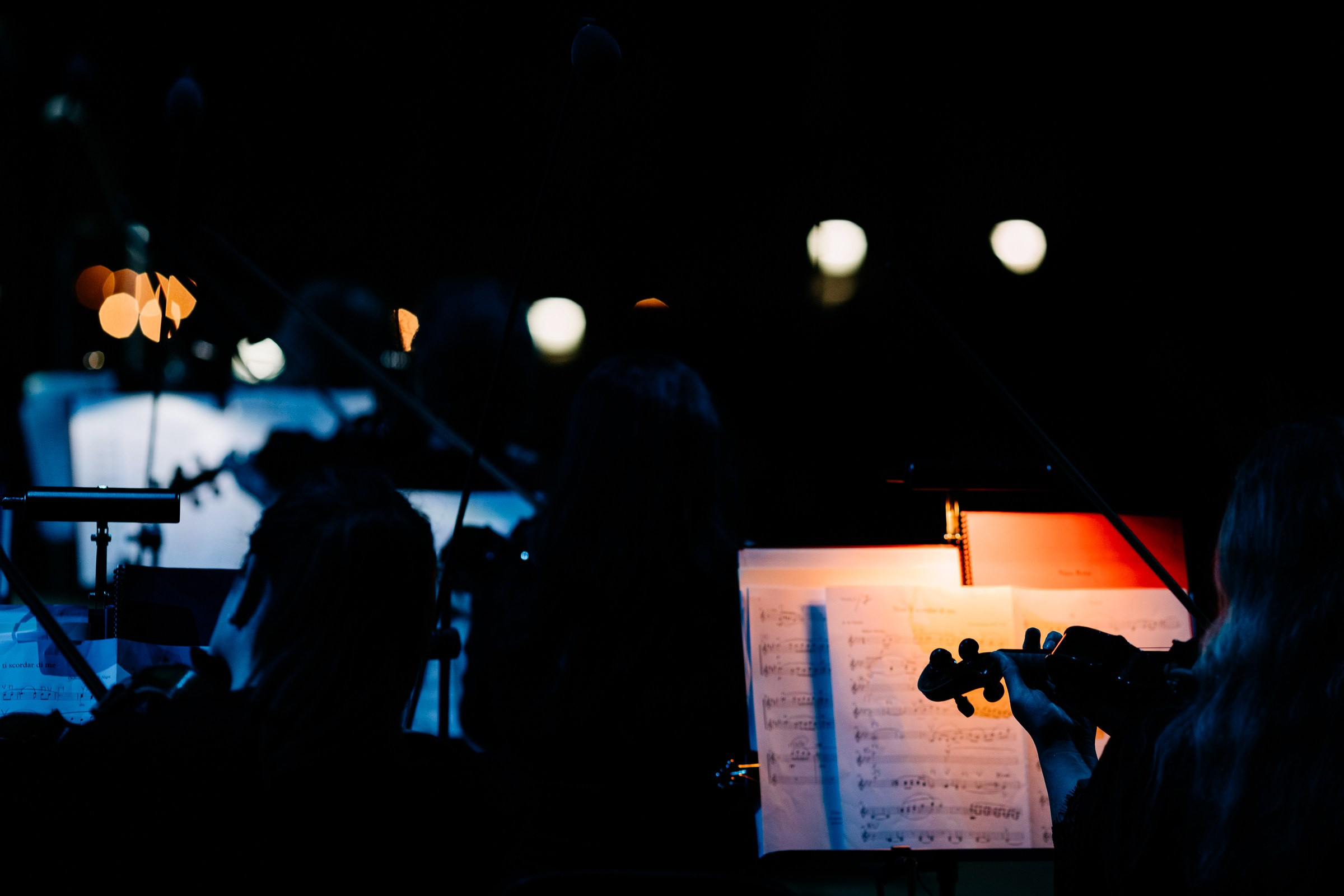 Opera Leśna Koncert. Fotograf Ślubny Warszawa - Sesje Biznesowe Rodzinne Eventy