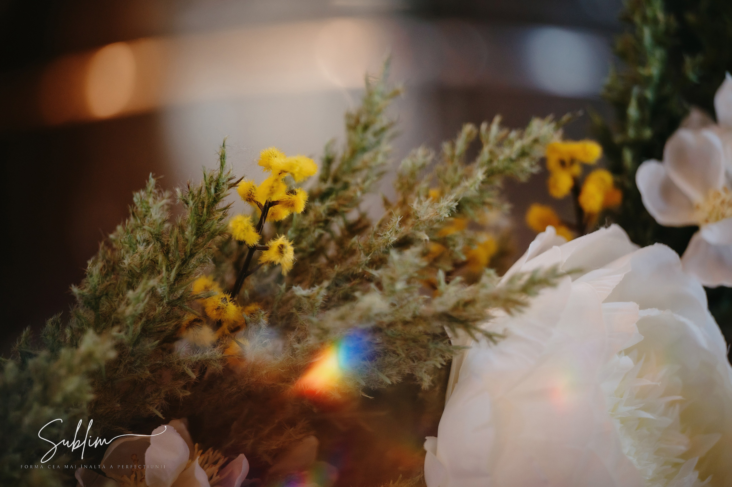 Sublim. Laurentiu Stefan StoryTeller