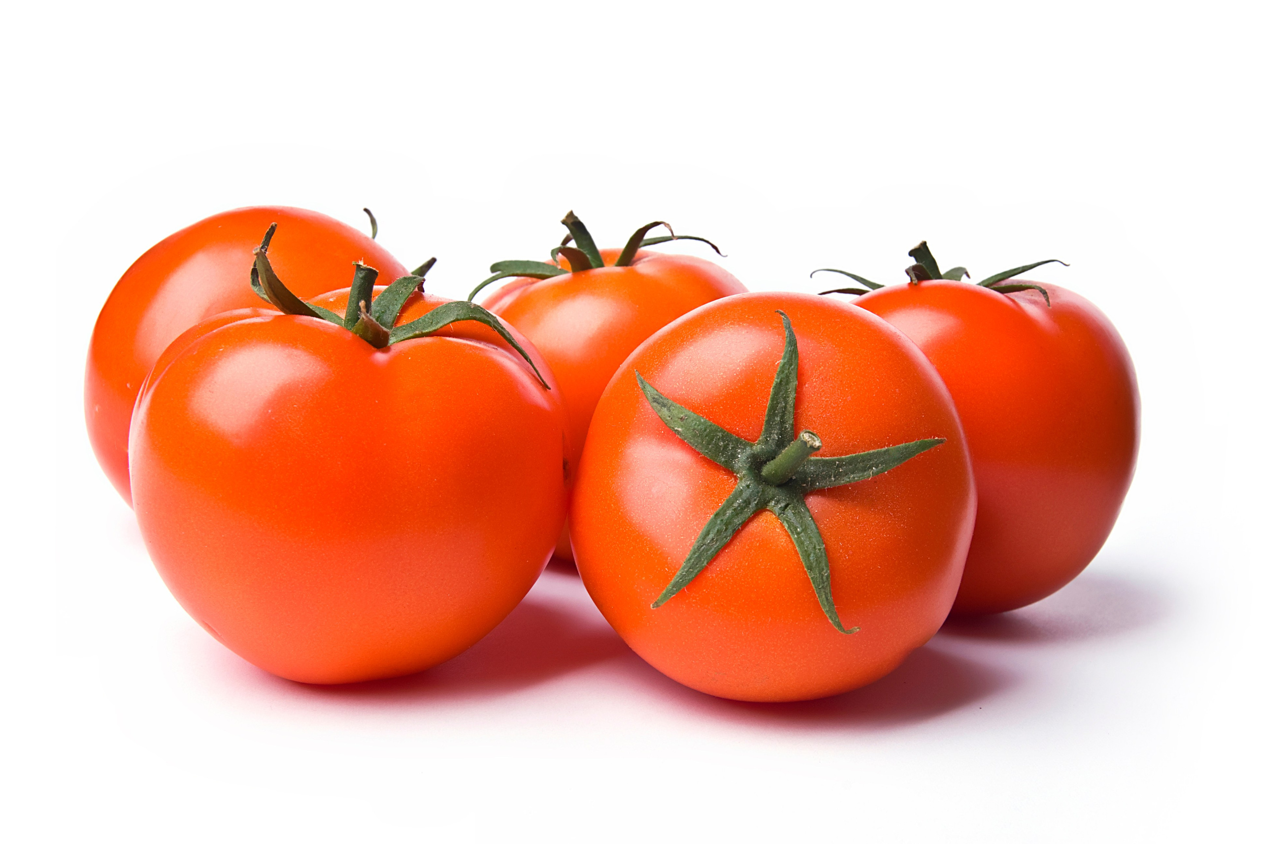 Hrana. Adam Radosavljevic fotograf