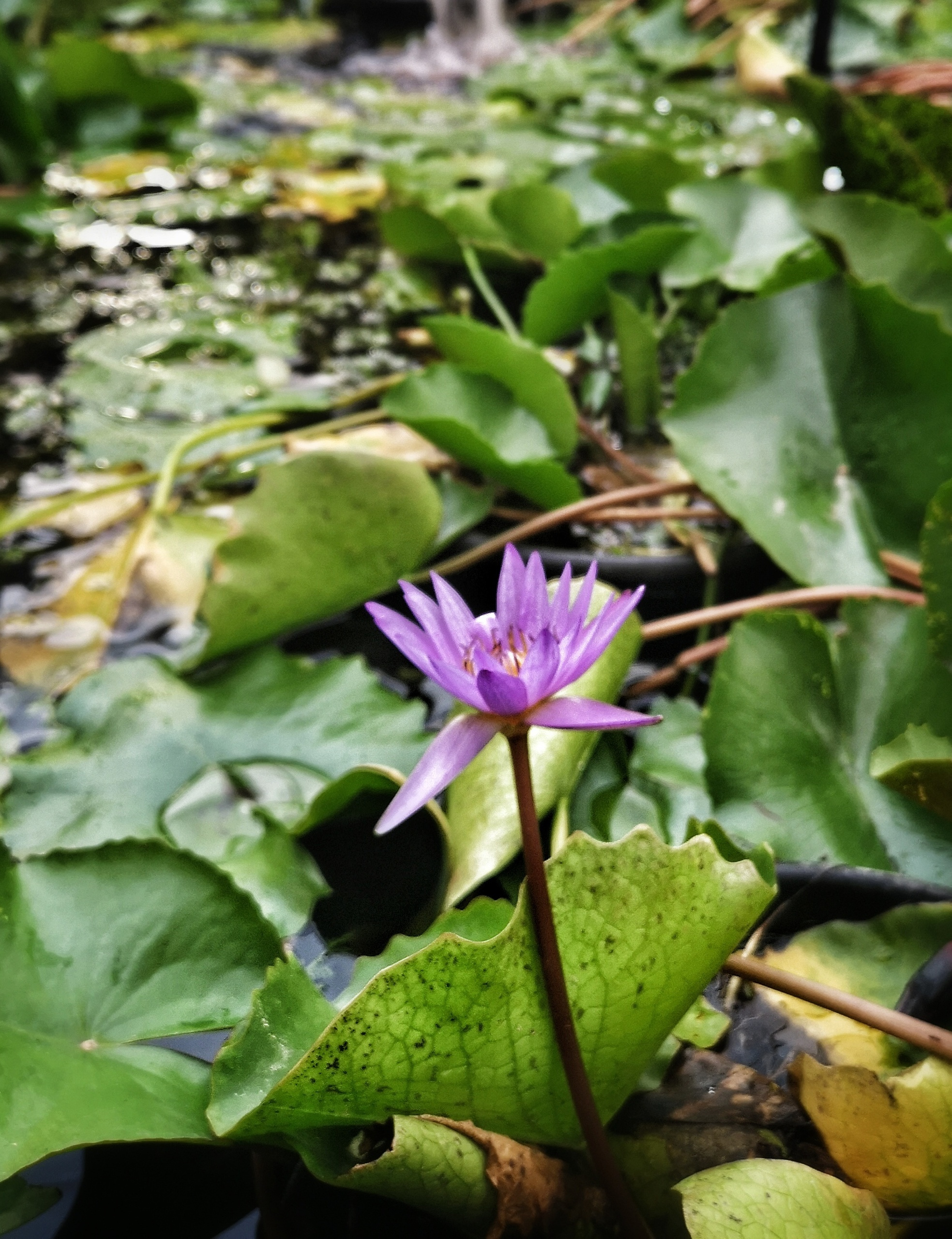 Kathrin Kovshova photobykovshova Dubai photography