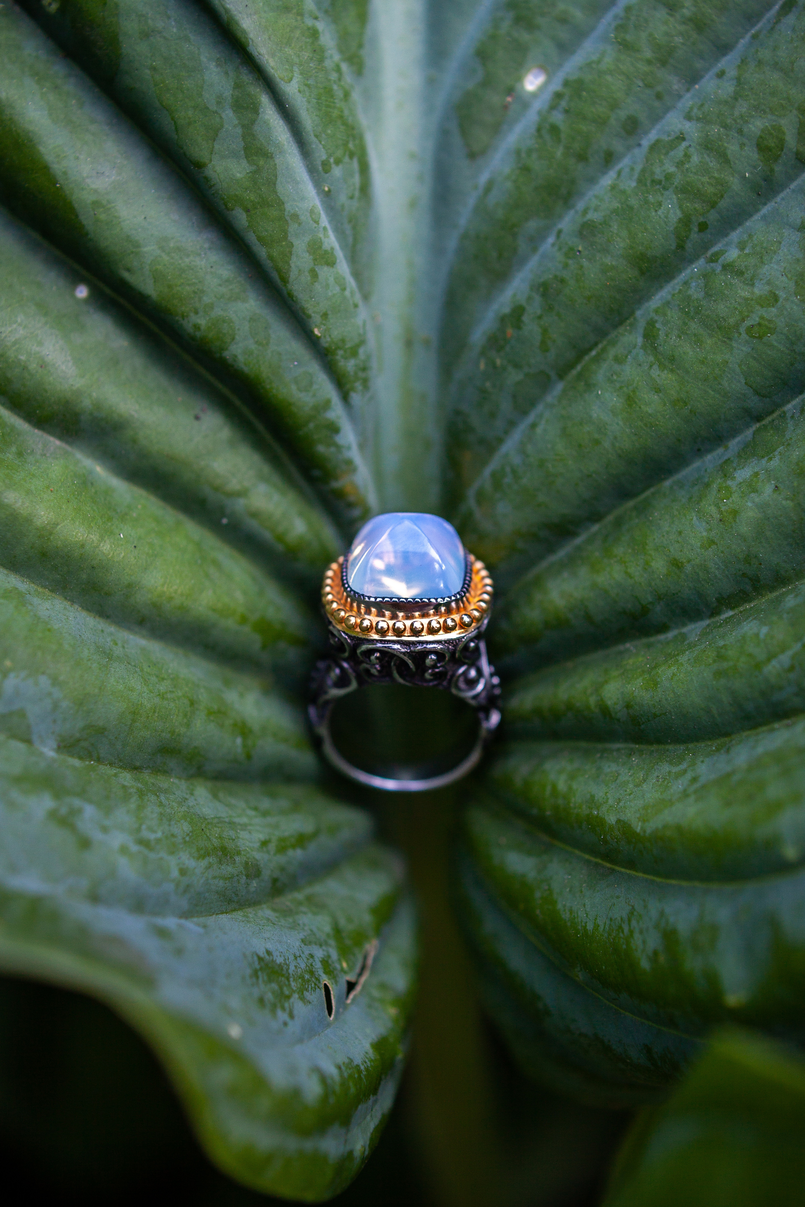 Elena Okutova | Jewellery. Sasha Amelie — Lifestyle Photographer NYC