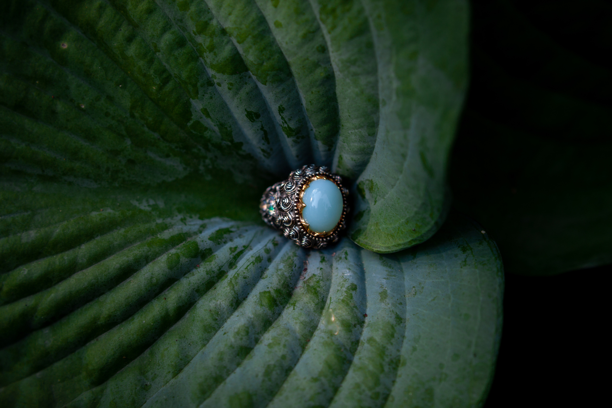 Elena Okutova | Jewellery. Sasha Amelie — Lifestyle Photographer NYC