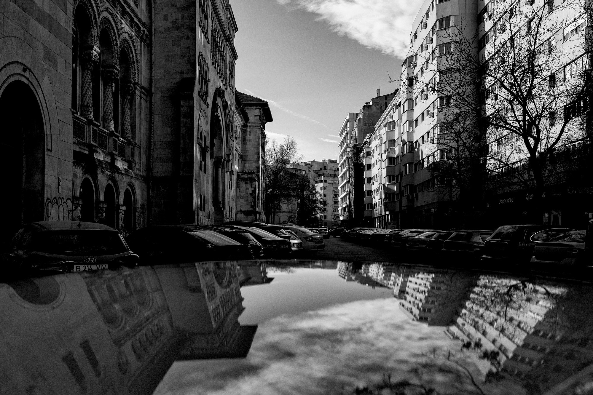 Monochrome. A Creative Insight | Catalin Nastase