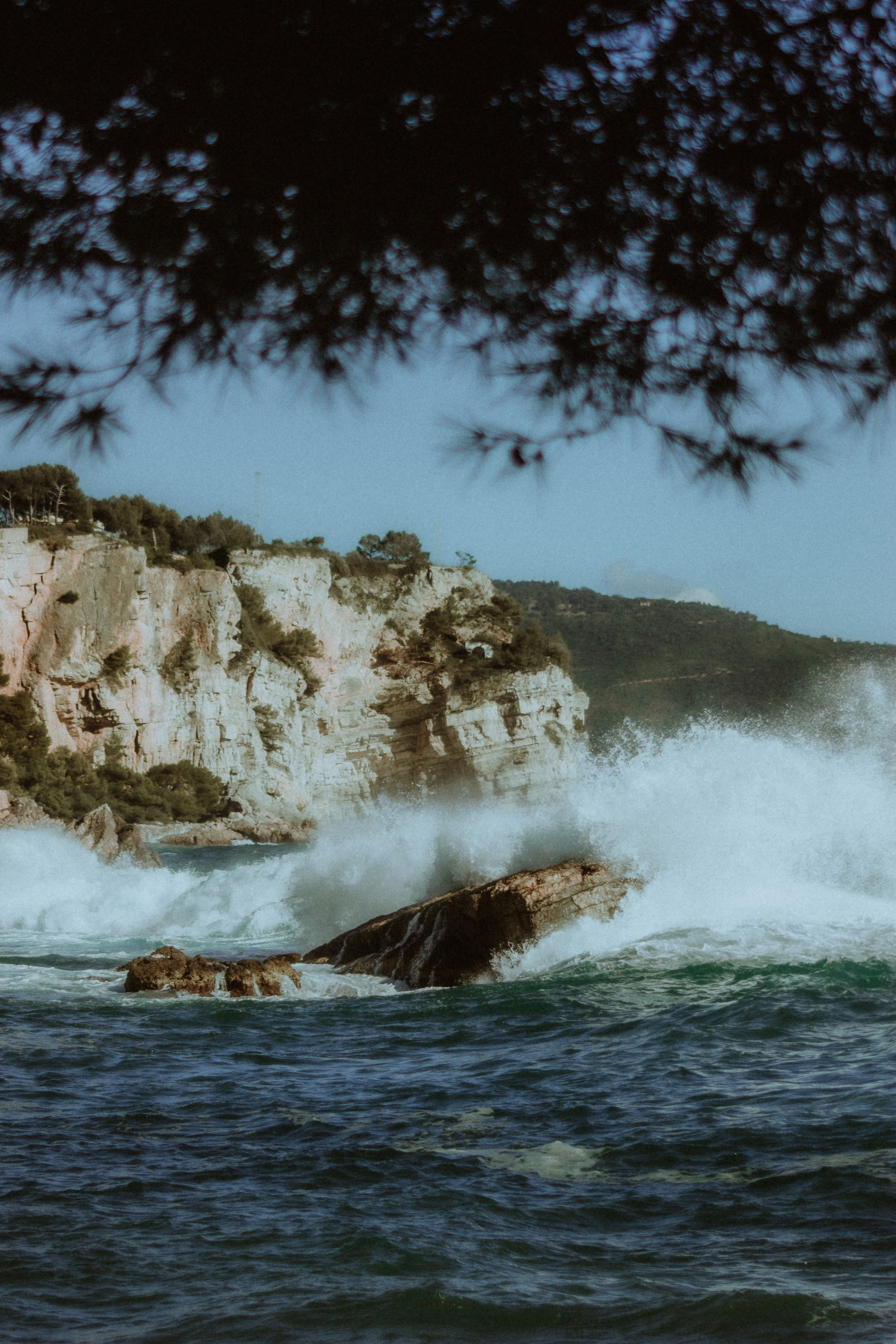 Anse Magaud, Cap Brun, Toulon. Photographe à la Seyne sur Mer, Var
