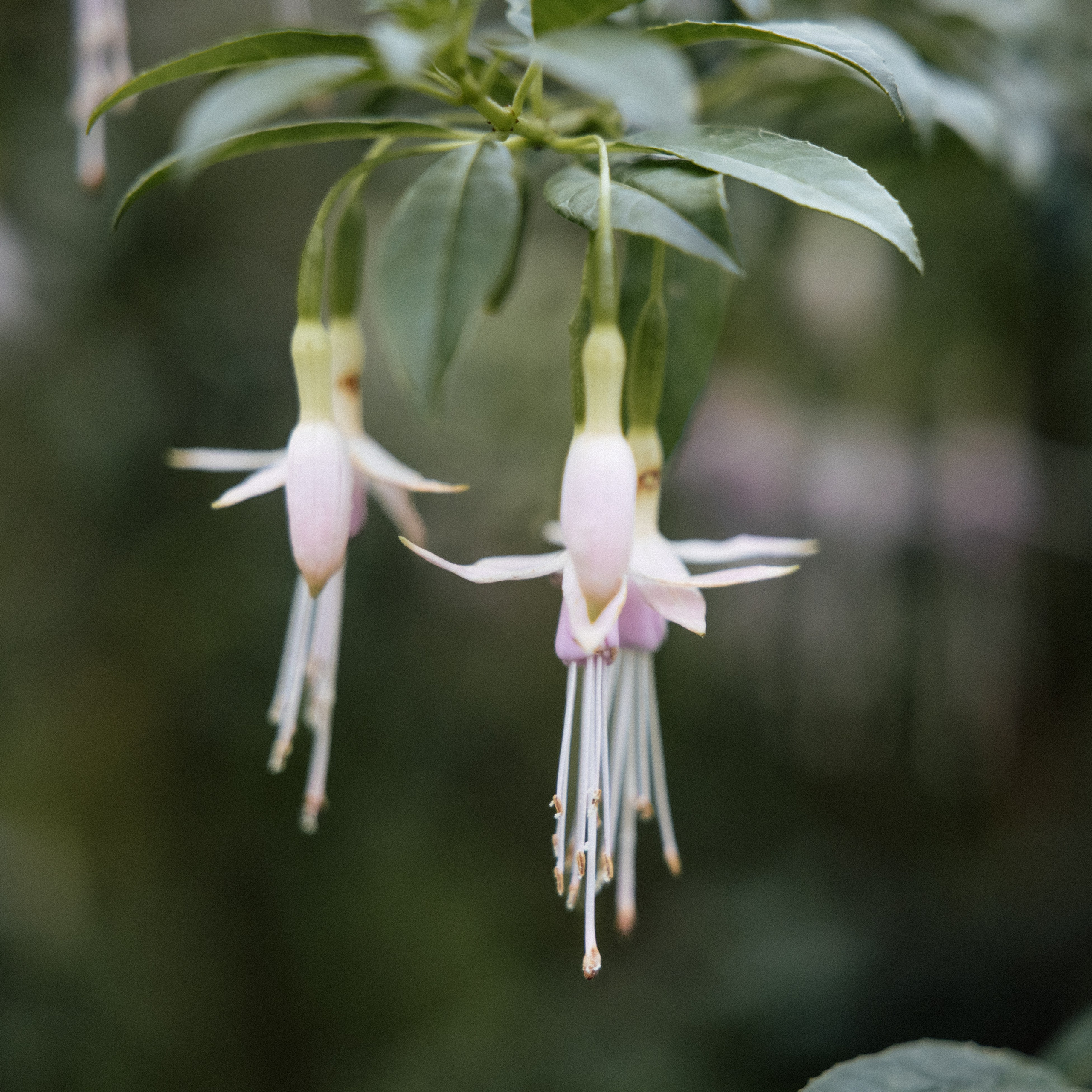 London based Editorial Wedding photographer.Capturing Your Luxury Moments: As a wedding photographer, I blend documentary style with editorial flair to create stunning, authentic images. My approach ensures every candid emotion and elegant detail is beautifully preserved, making your wedding memories truly timeless. Experience the luxury of bespoke photography that tells your love story with both authenticity and sophistication.