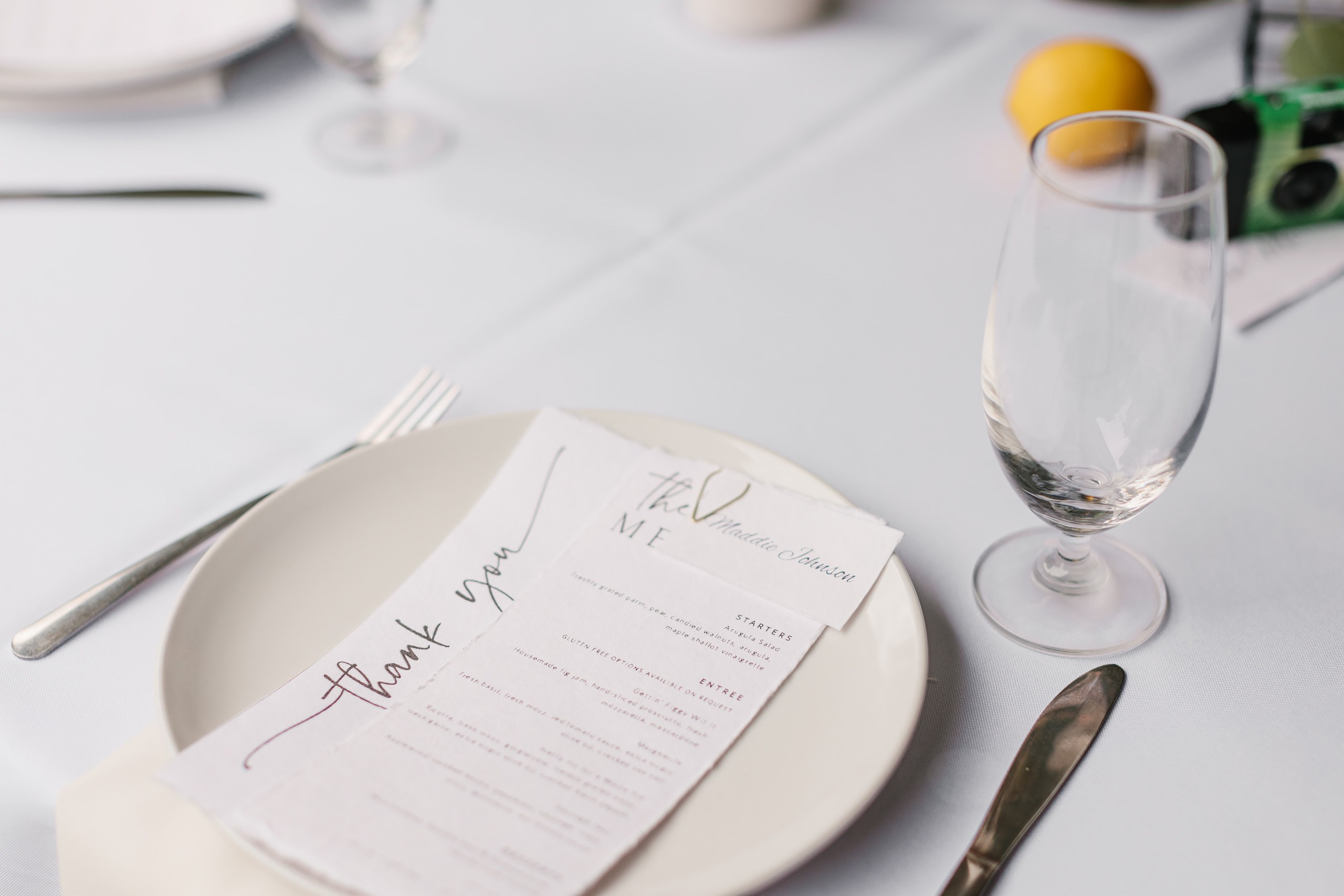 10.08.2023 Wedding. Wedding family event photographer in Chicago Nick Yushevich