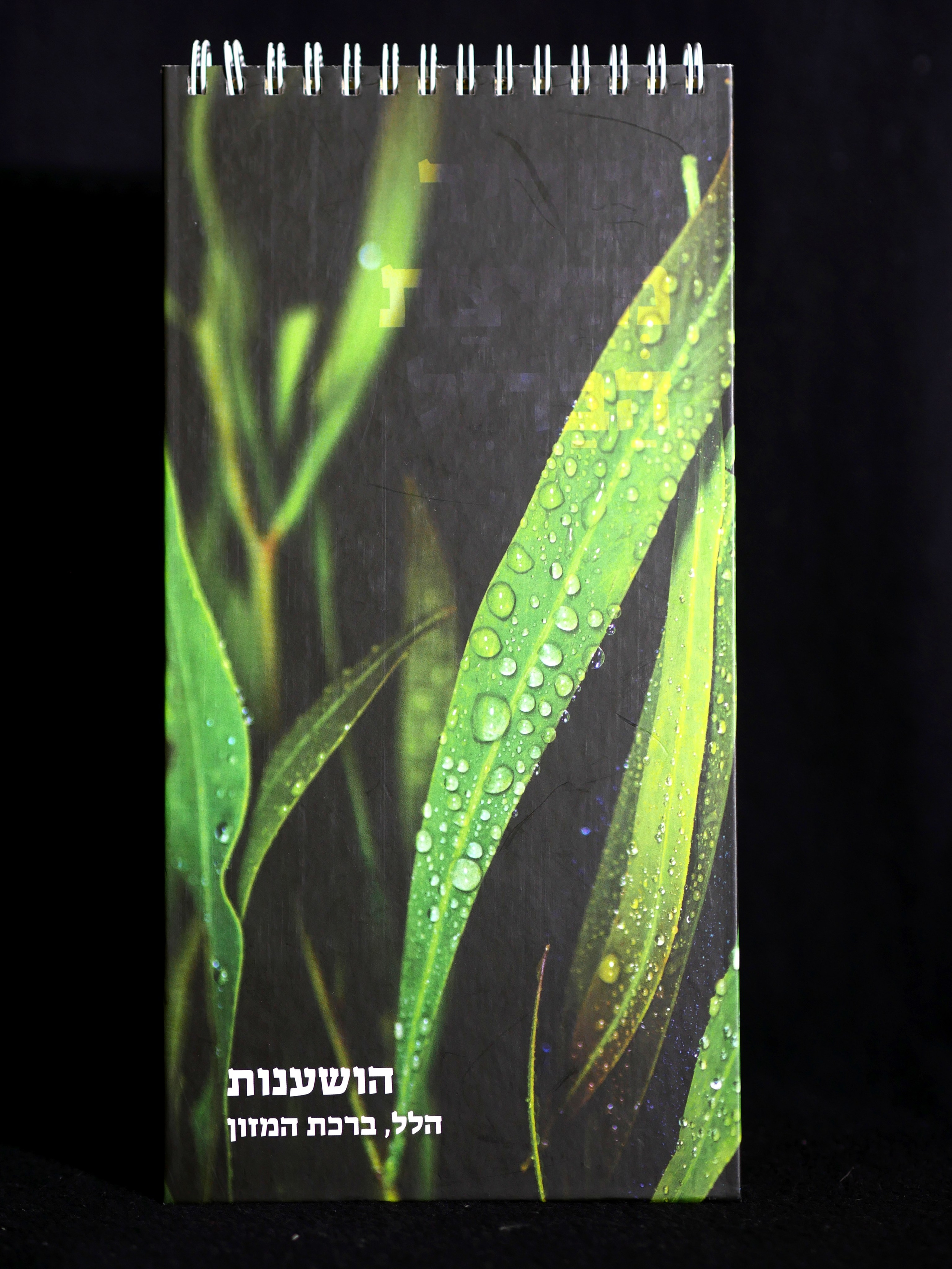 Books. Portrait & Event photographer in Israel — Rebecca Kowalsky